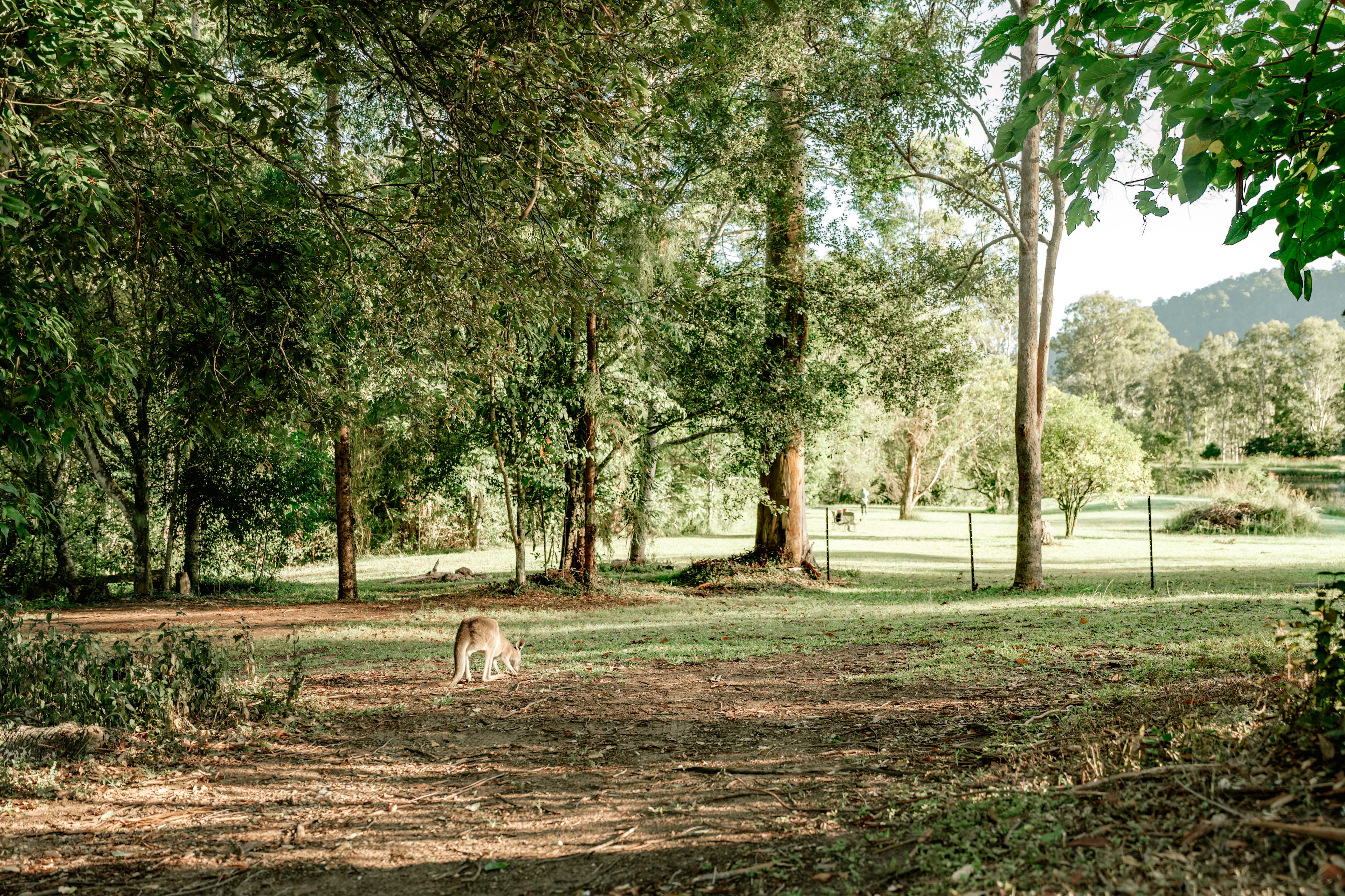 Crystal Waters Eco Park