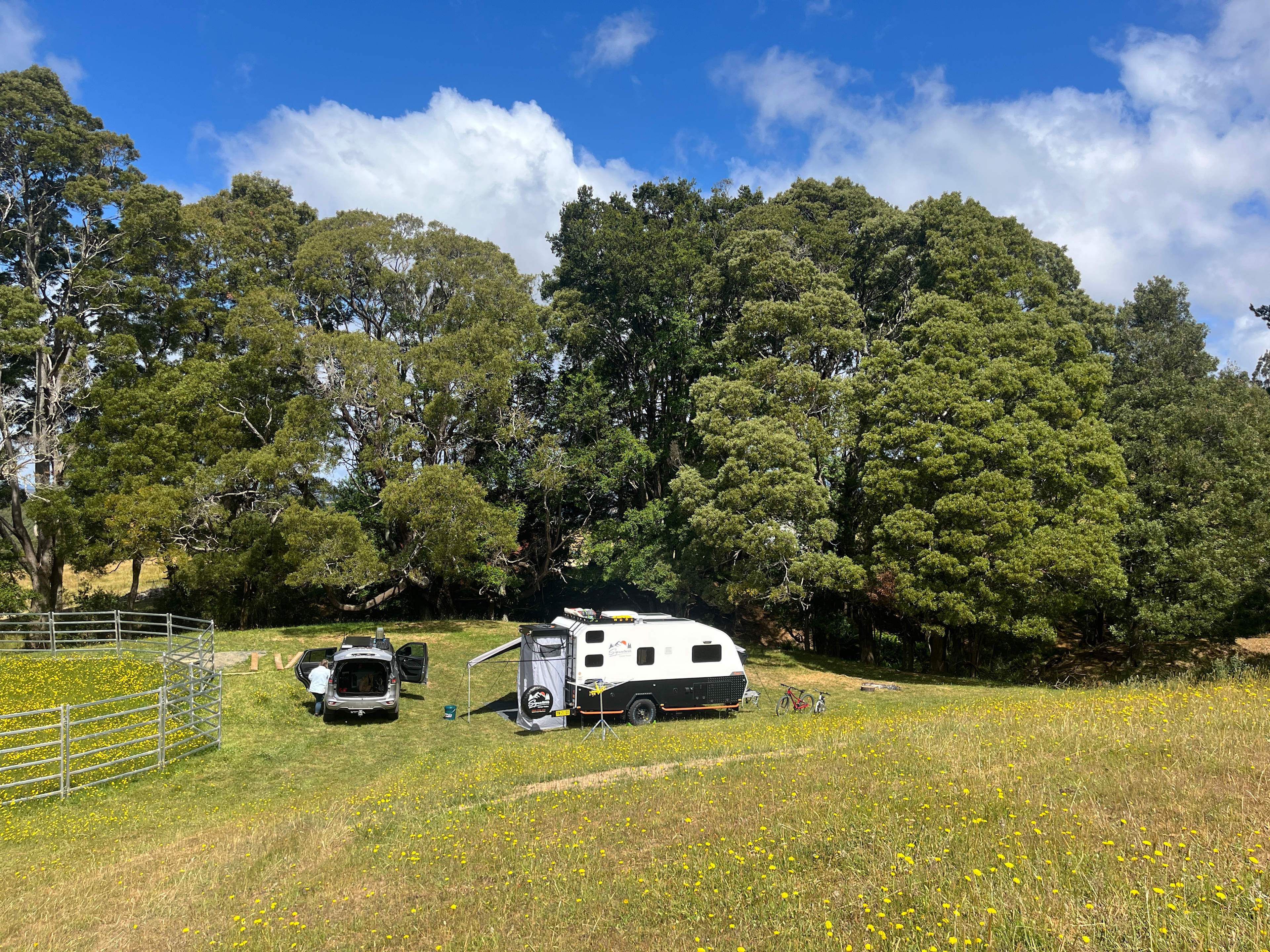 Arion Park, Campsite, YOLLA NW TAS