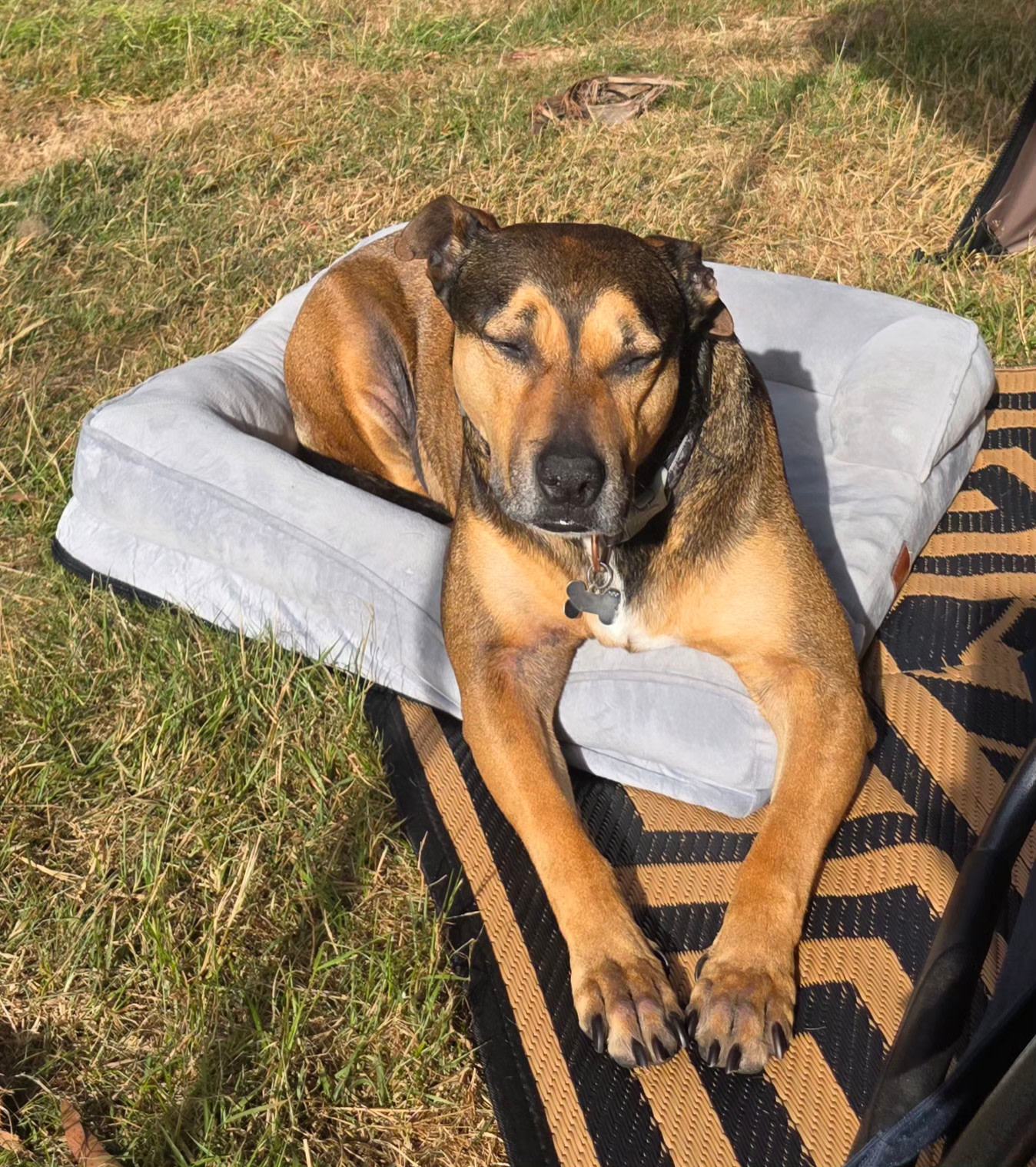 Love how our beautiful boy was welcome.