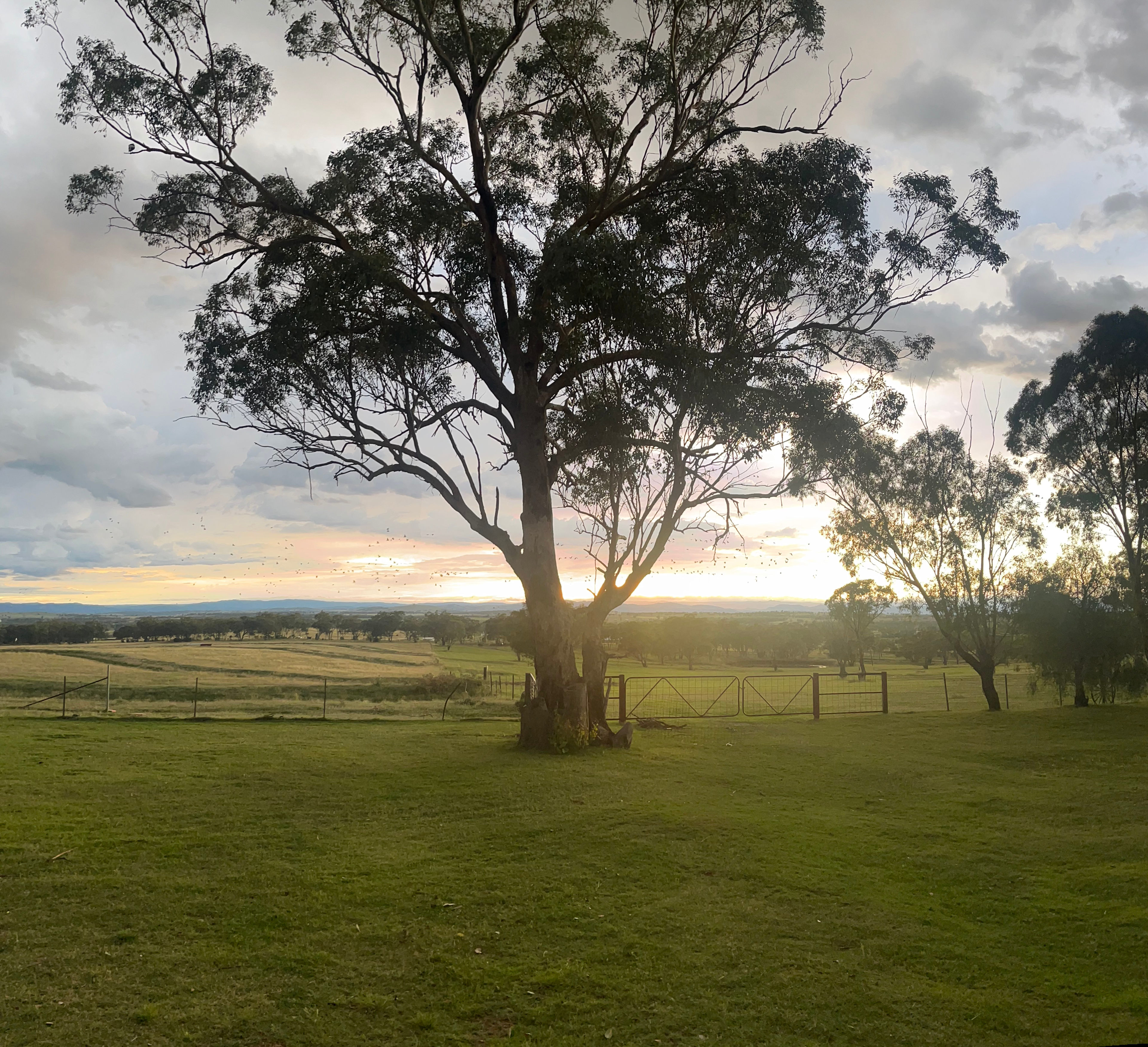 Ridleys Farm Stay