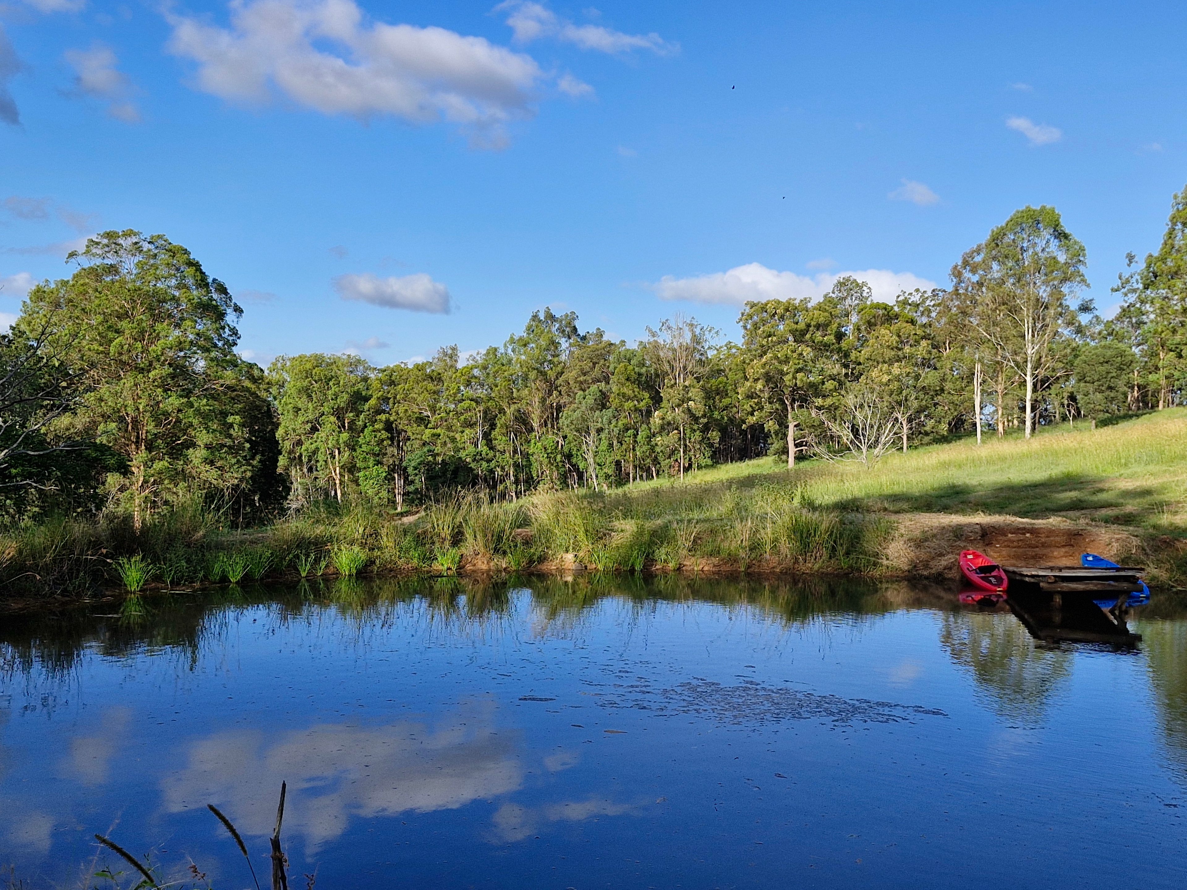 Poinciana Farmstay