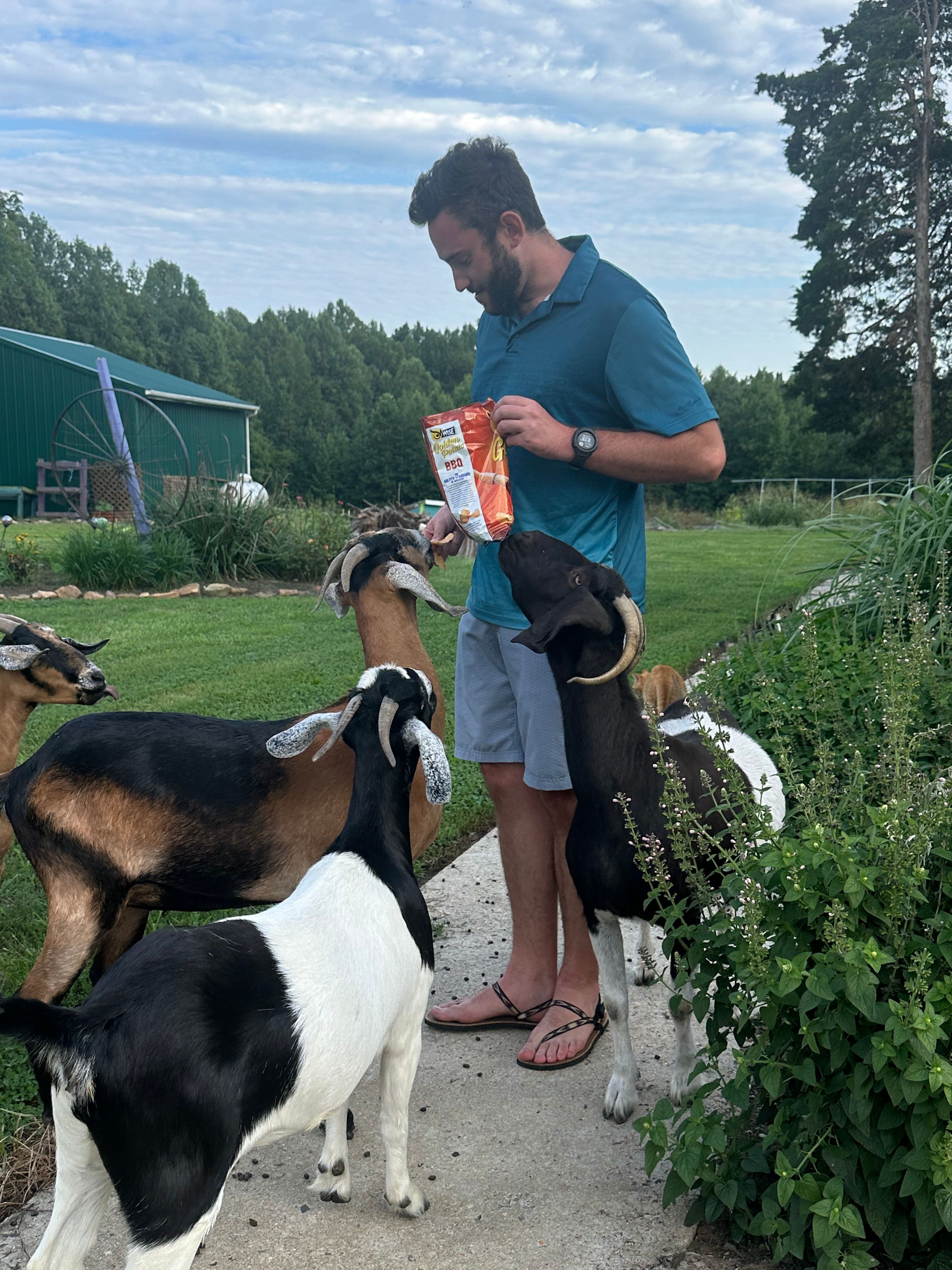 Camping at Cloverdale Farms
