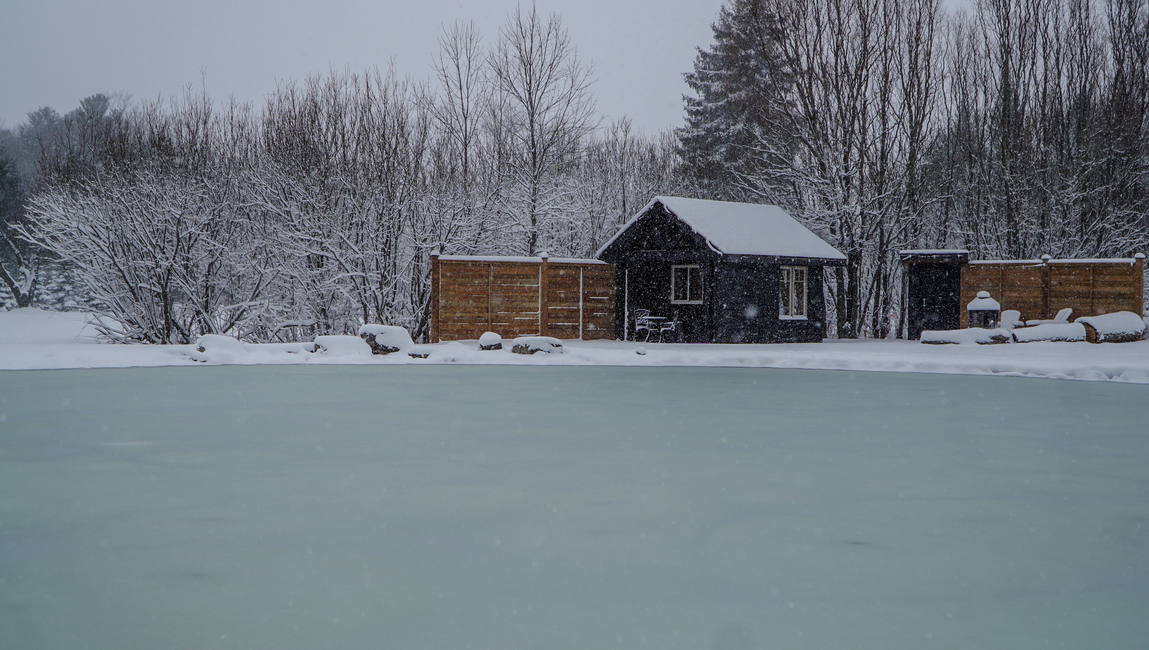 Cozy Cabin Beside Pond | Niagara