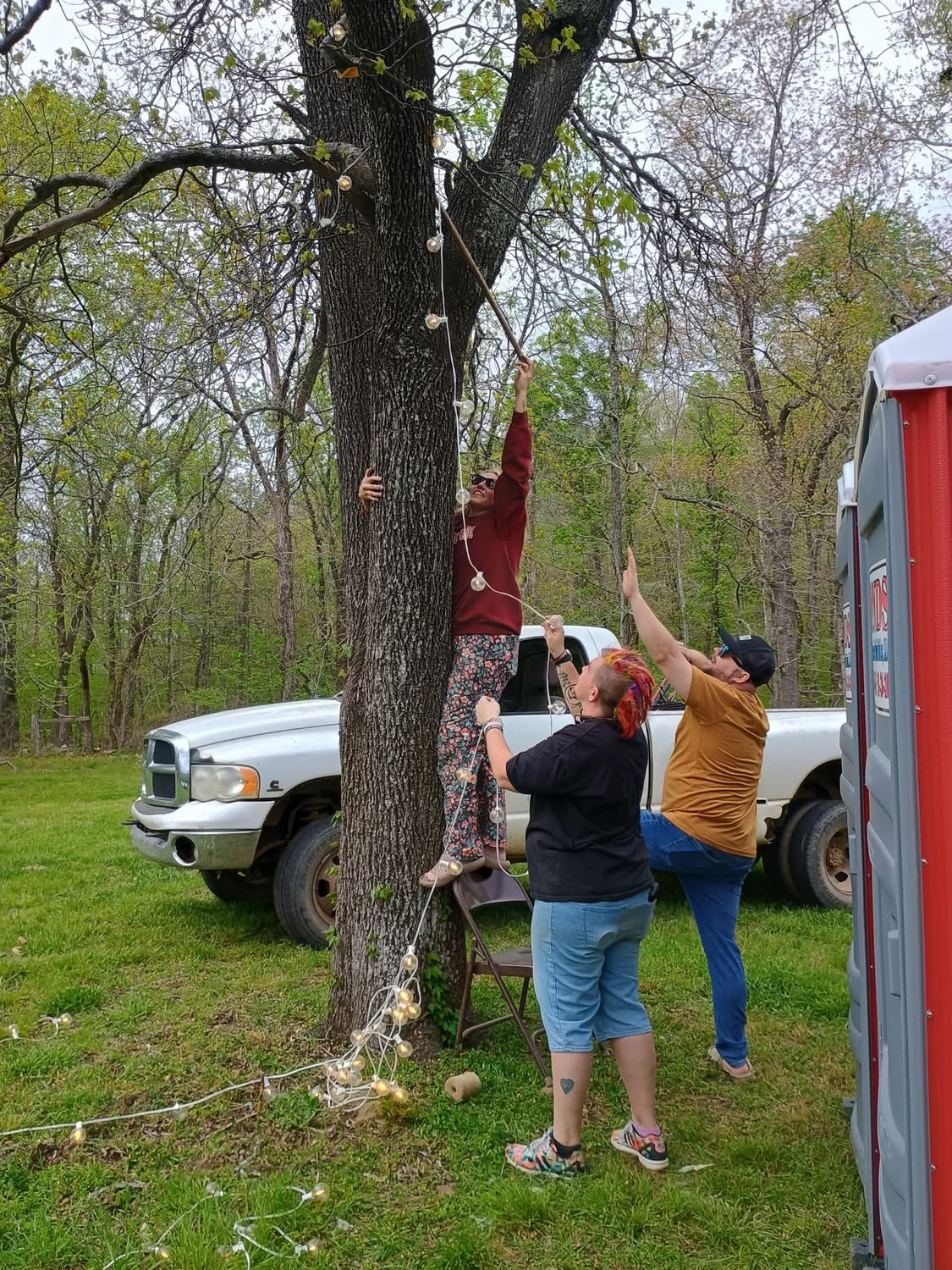 Sounds Of The Meadow
