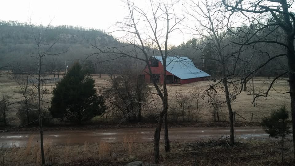 Sounds Of the Meadow