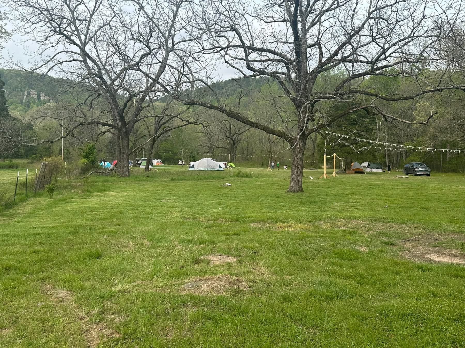 Sounds Of the Meadow