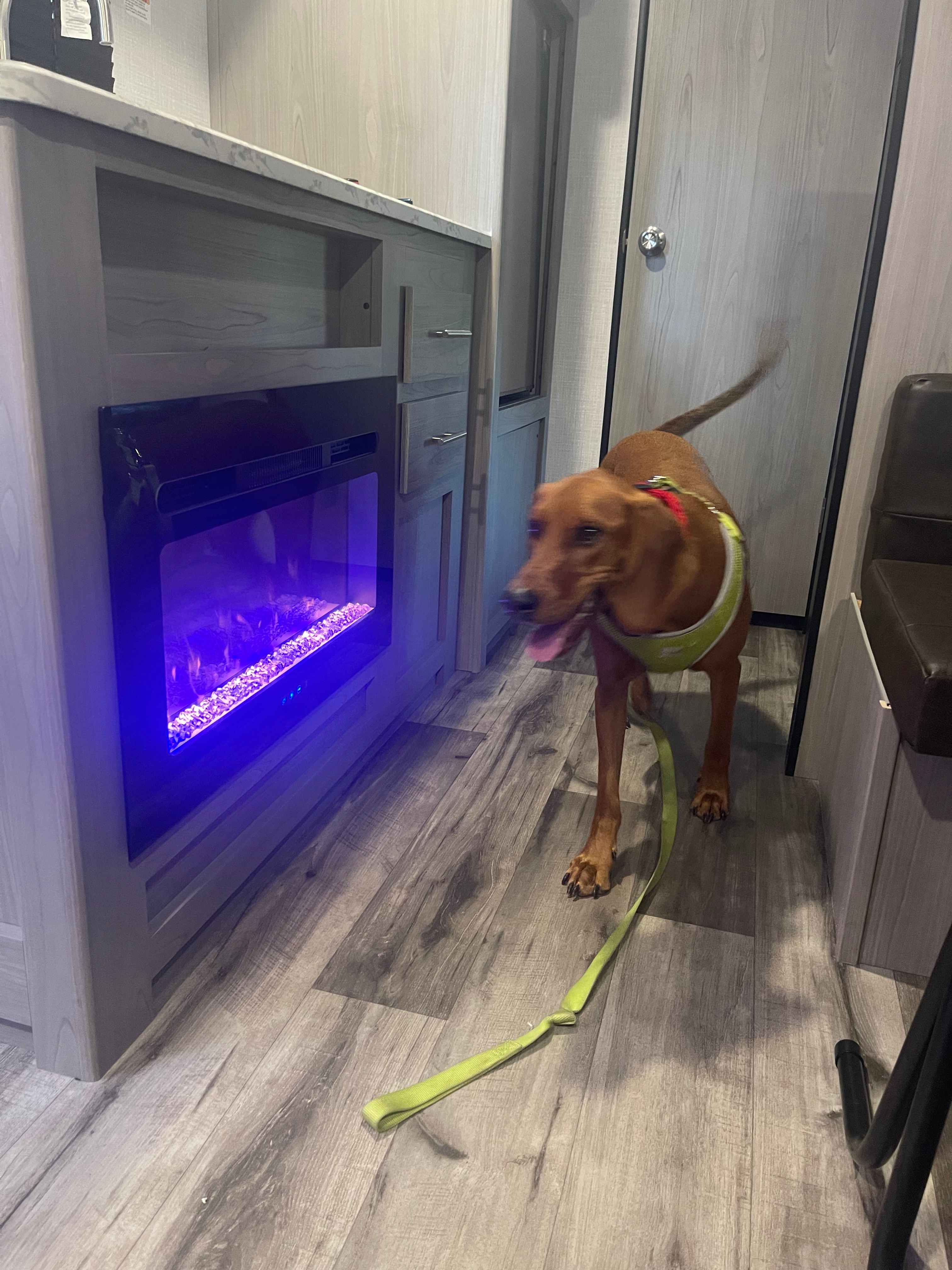 Quiet Getaway RV Stay