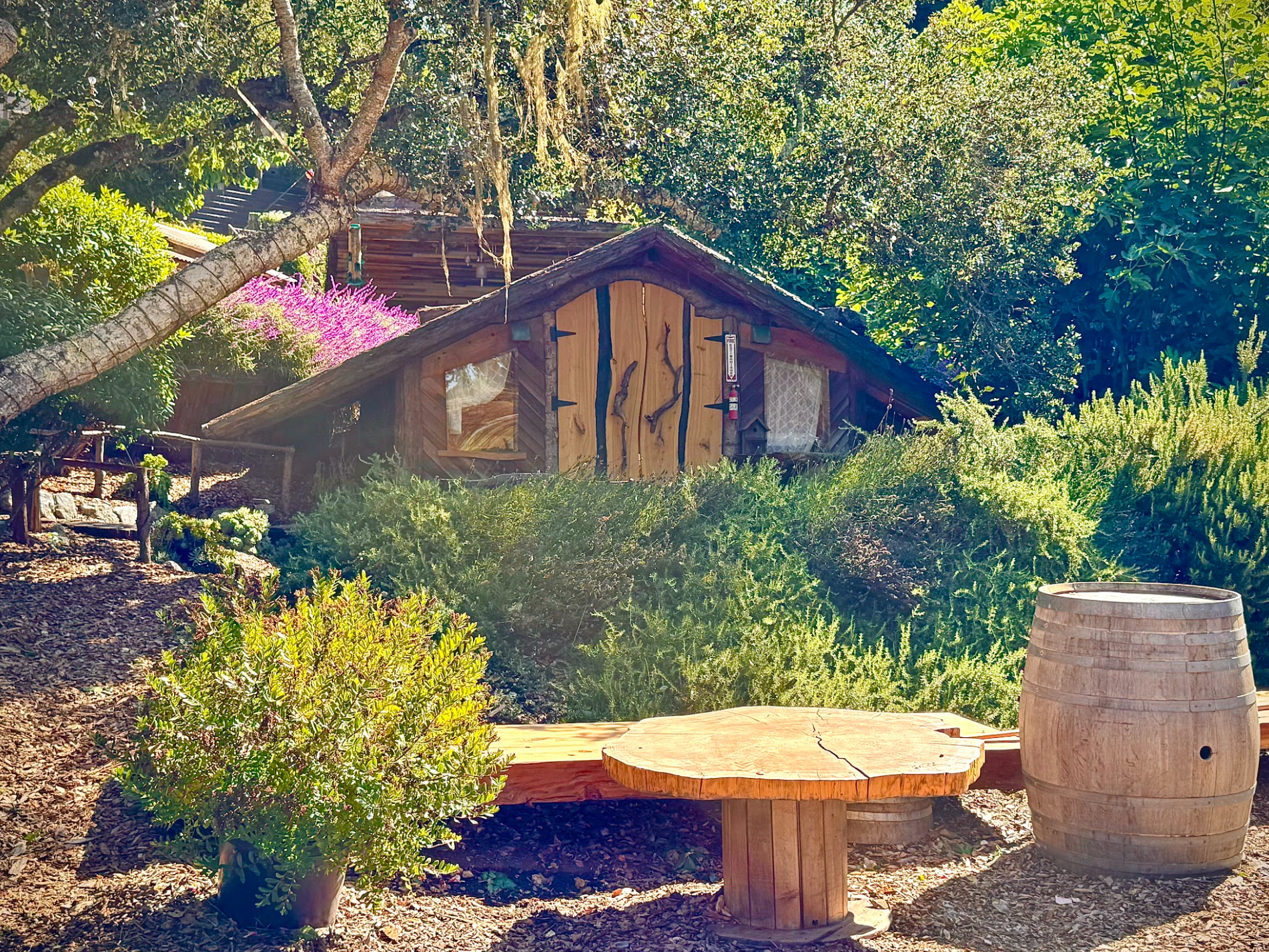 The Secret Gardens by the Bay