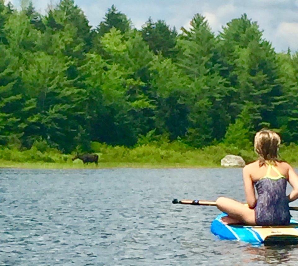 Bear Point on Upper Lead Mt Pond