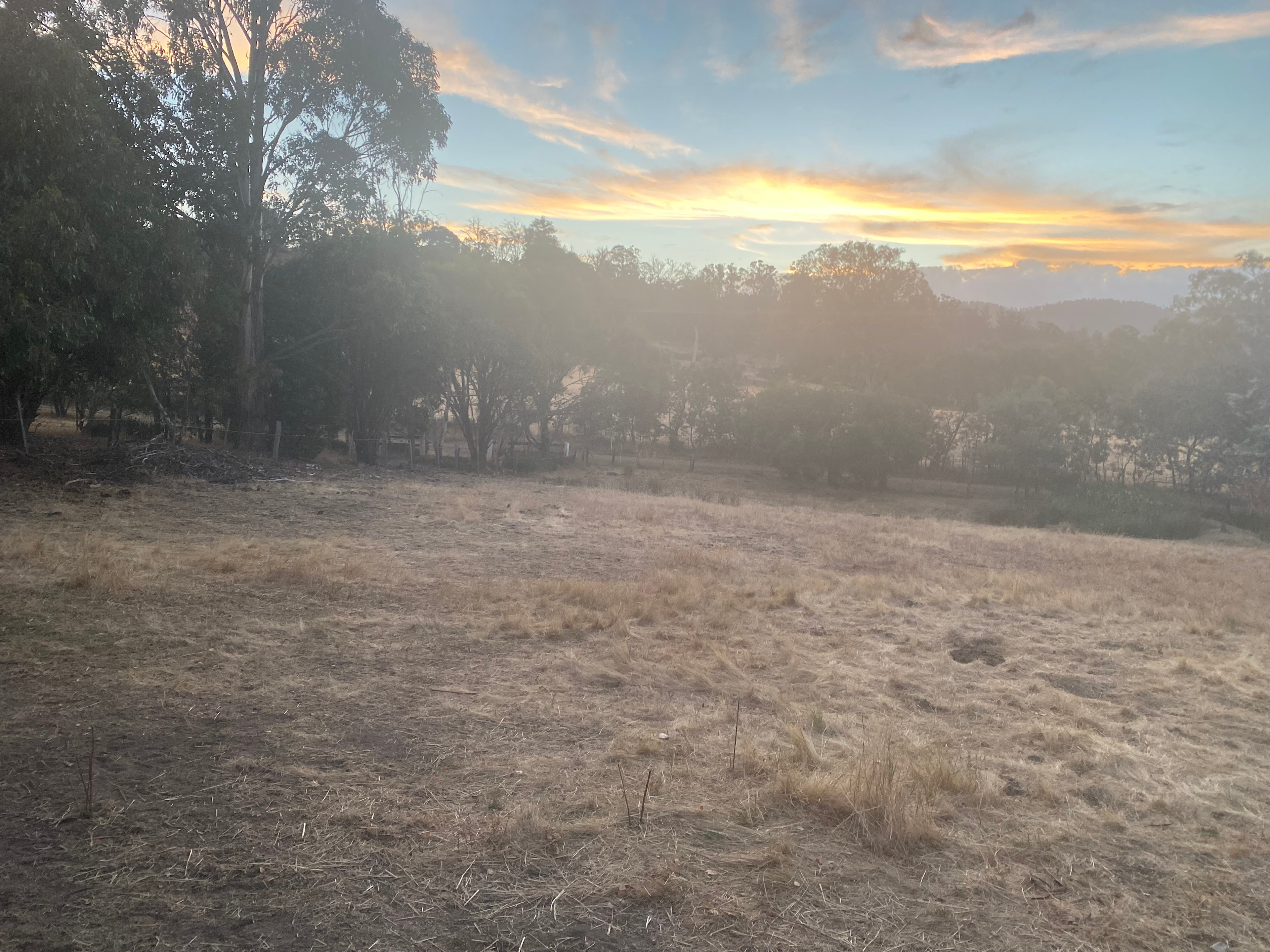 Derwent Valley Katelen Farm Stay