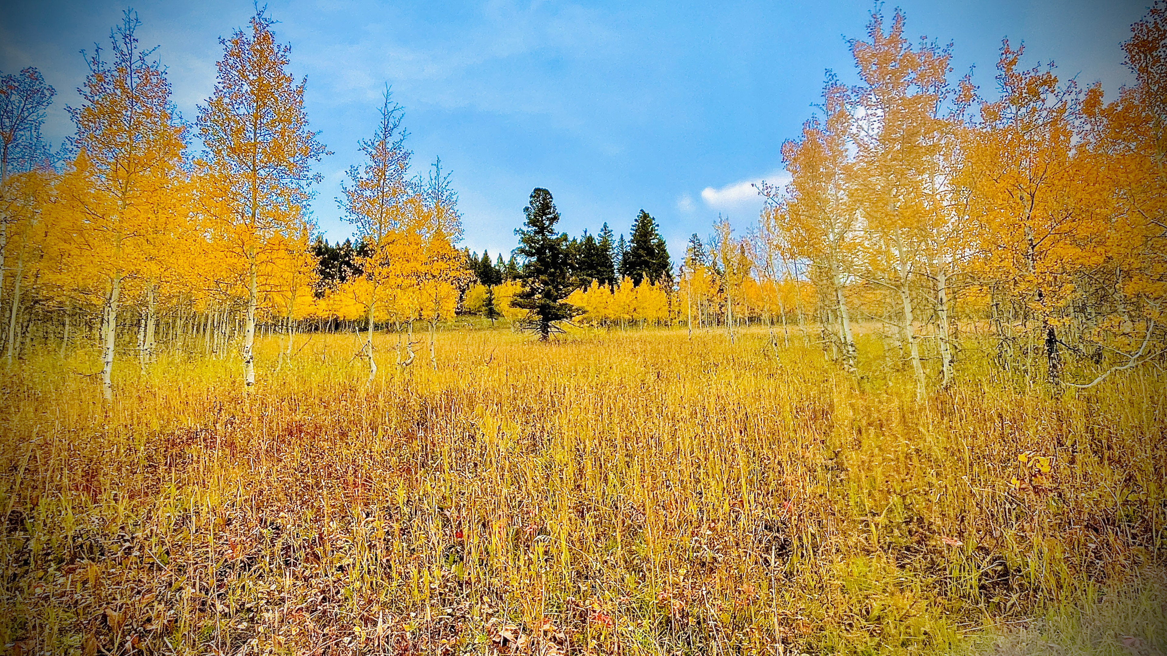 Willow Creek Landing