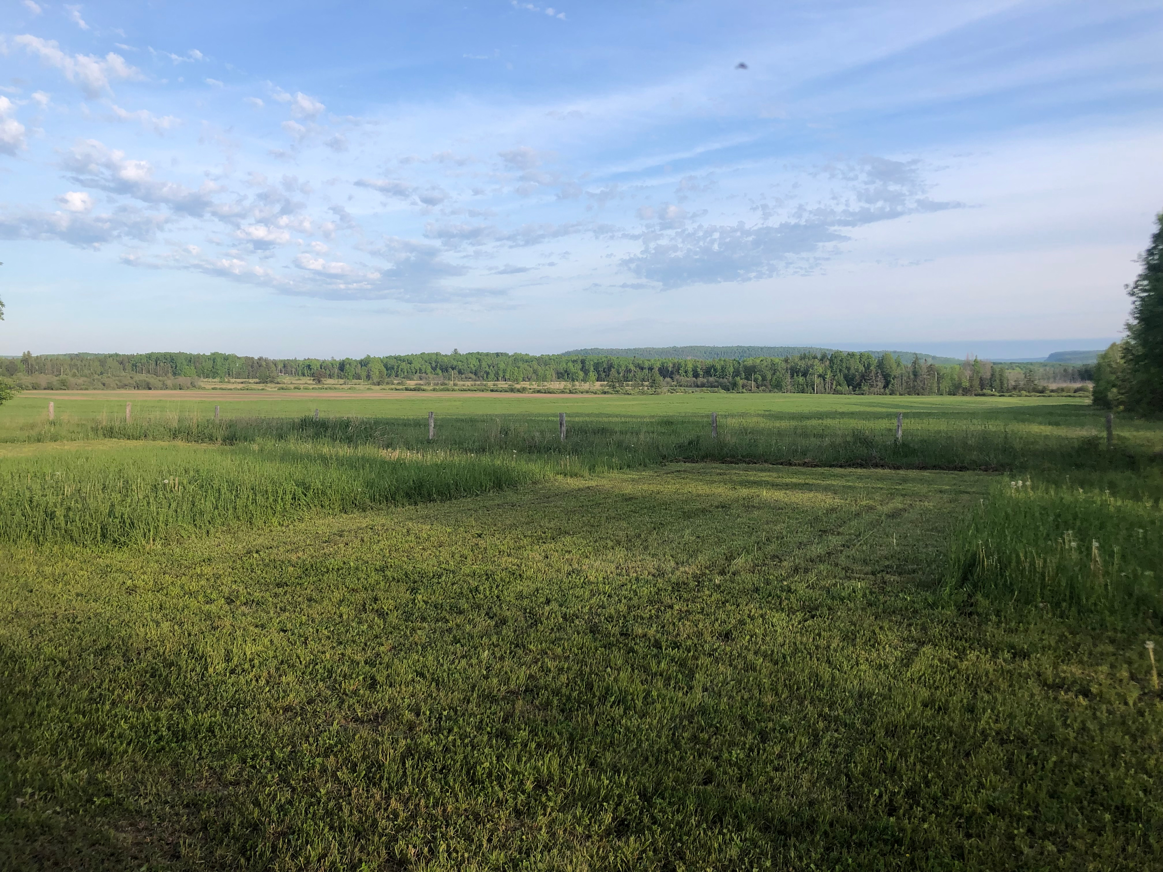 Peaceful Poplars Homestead