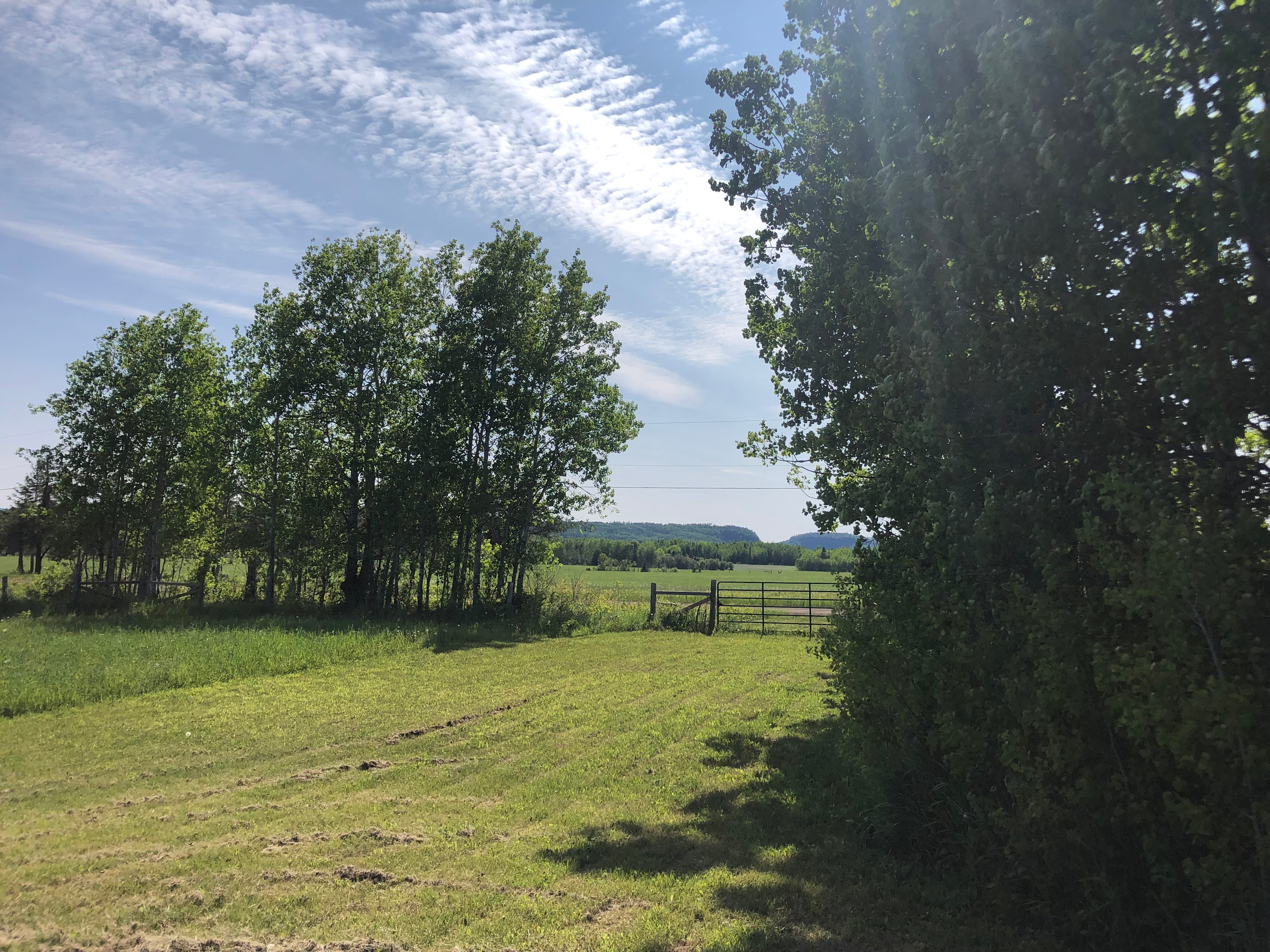 Peaceful Poplars Homestead