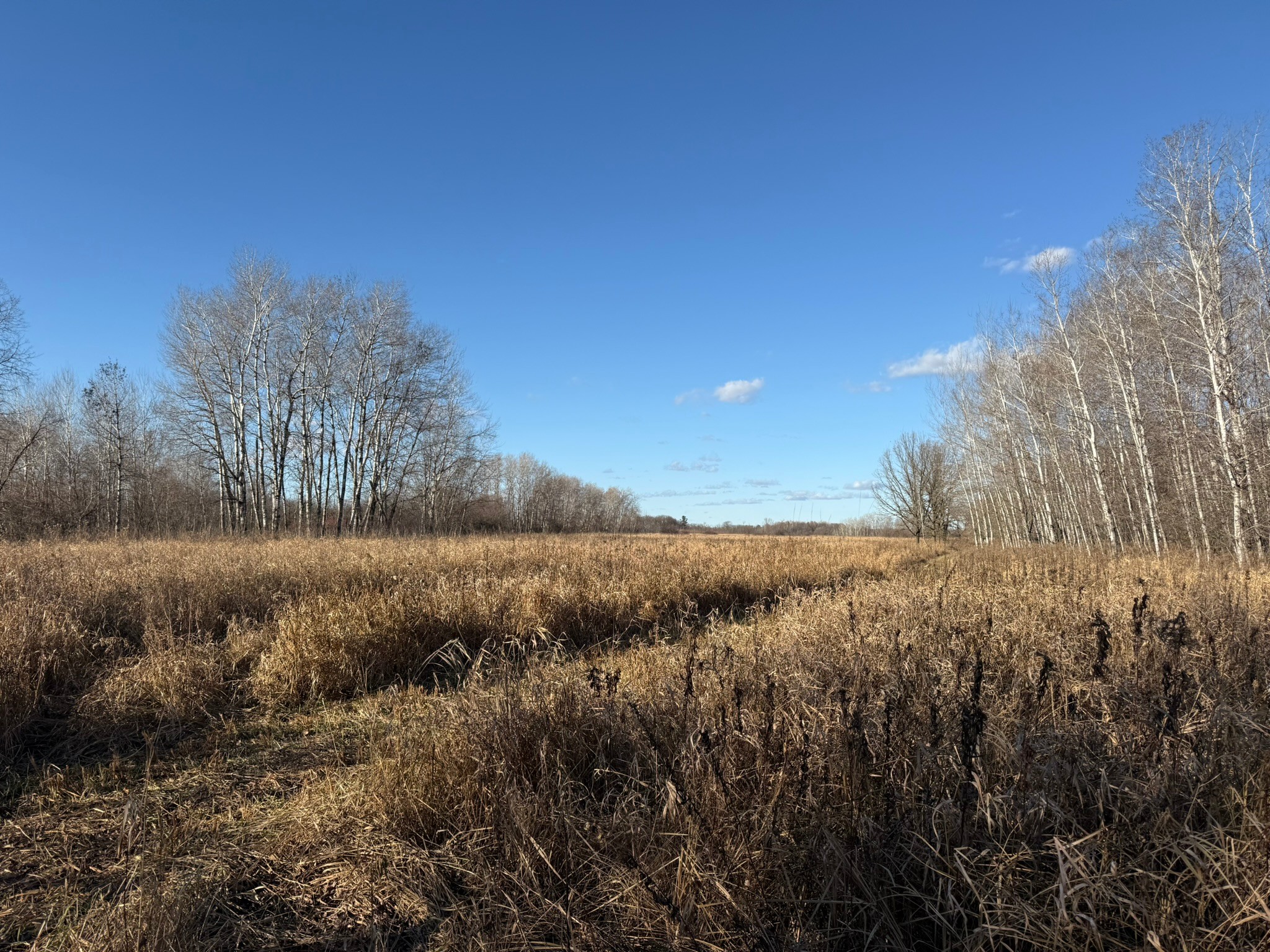 160 Acres All to Yourself