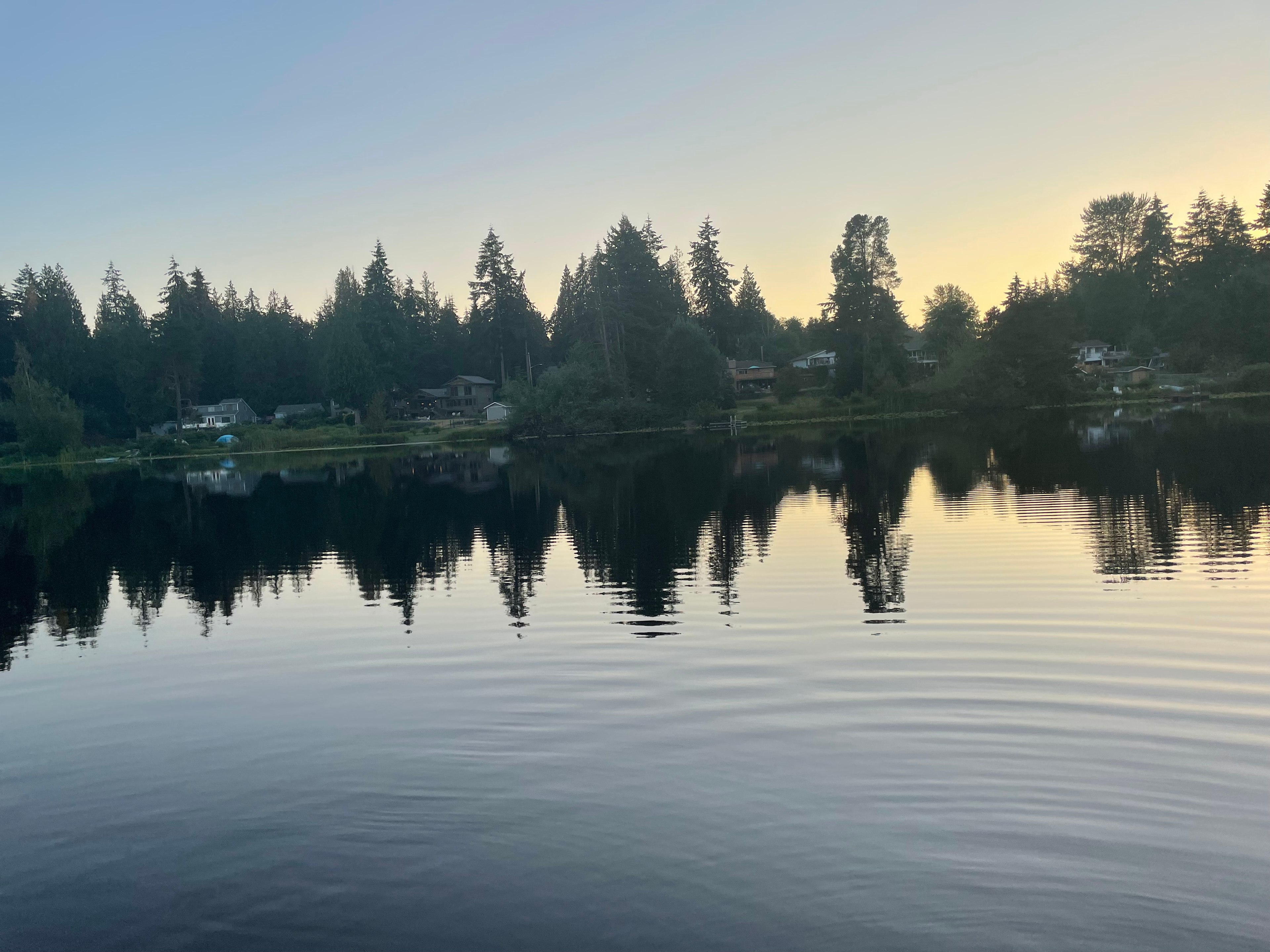 Fish Swim Quiet Lake Great Location
