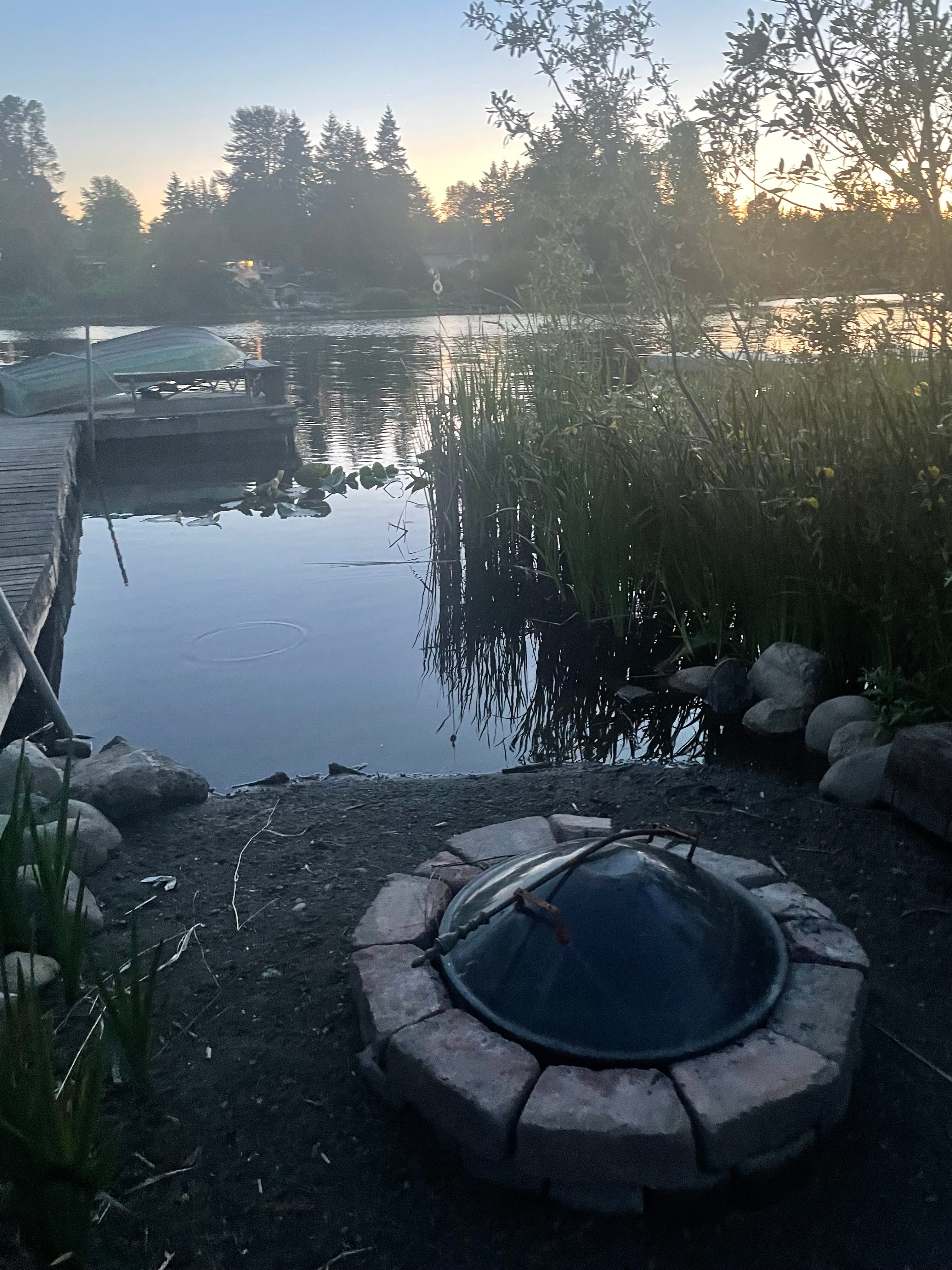 Fish Swim Serene Lake Great Location