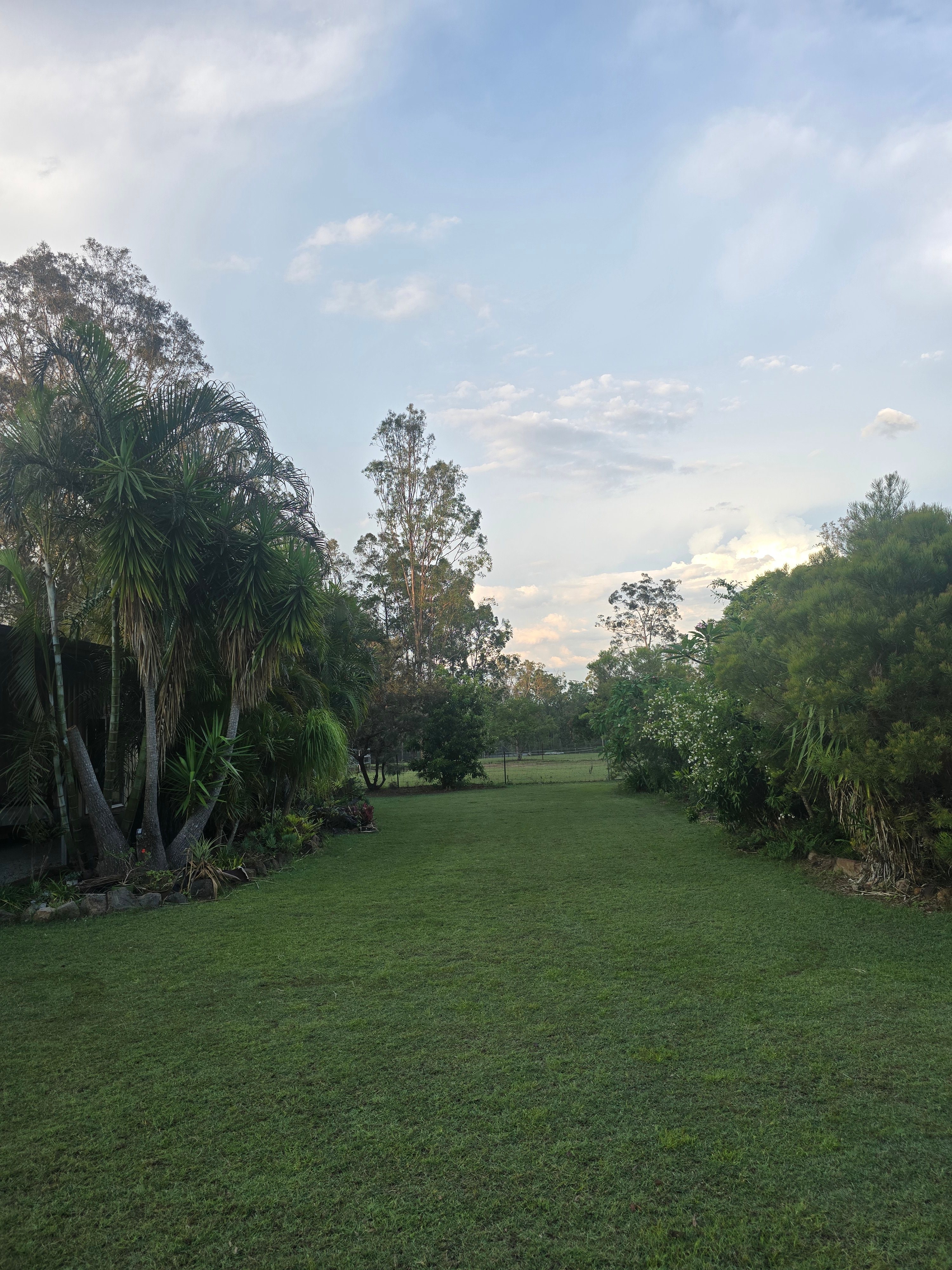 Shed house accommodation, view from the backyard