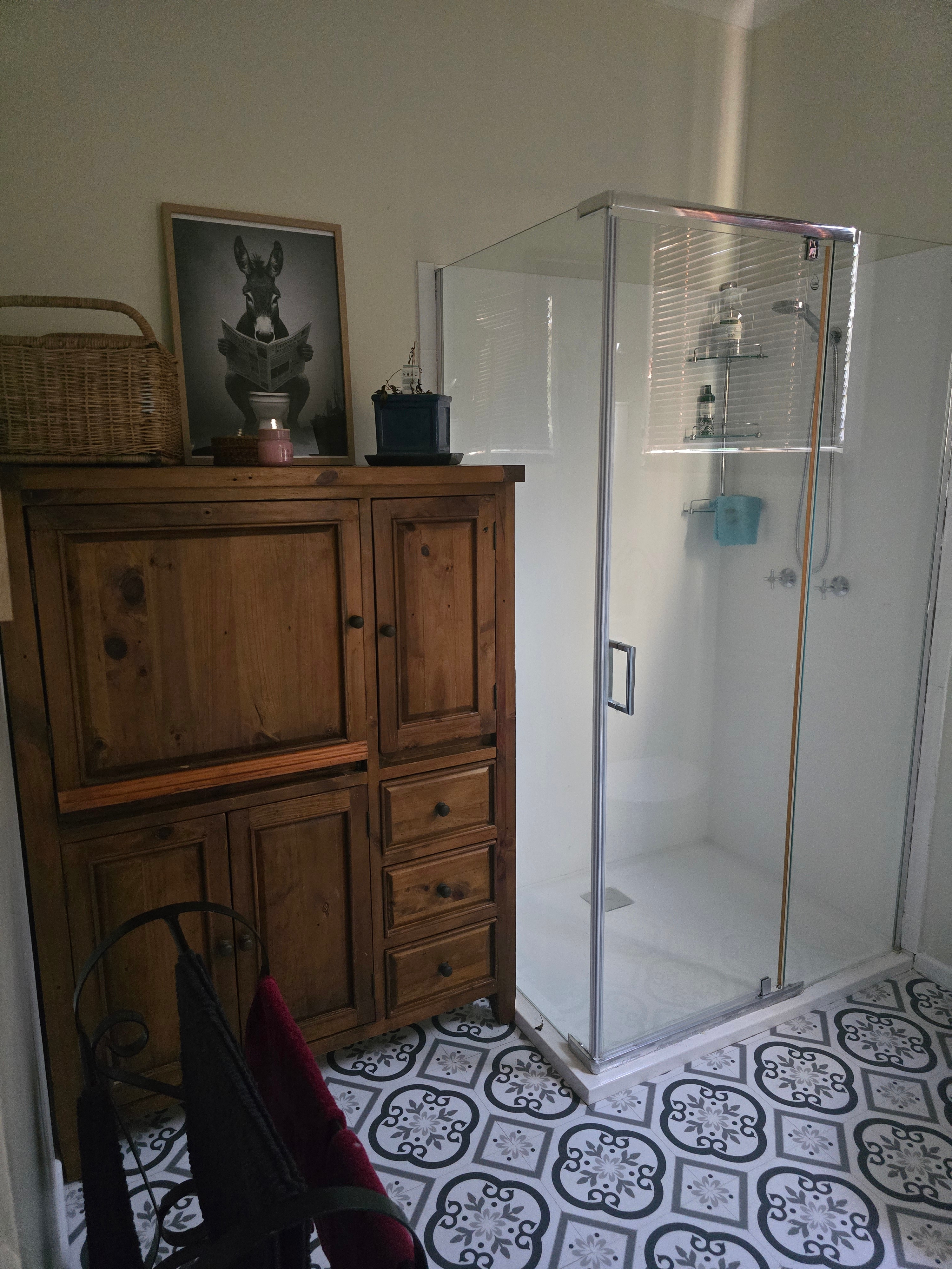 The Shed house- Shower/ bathroom