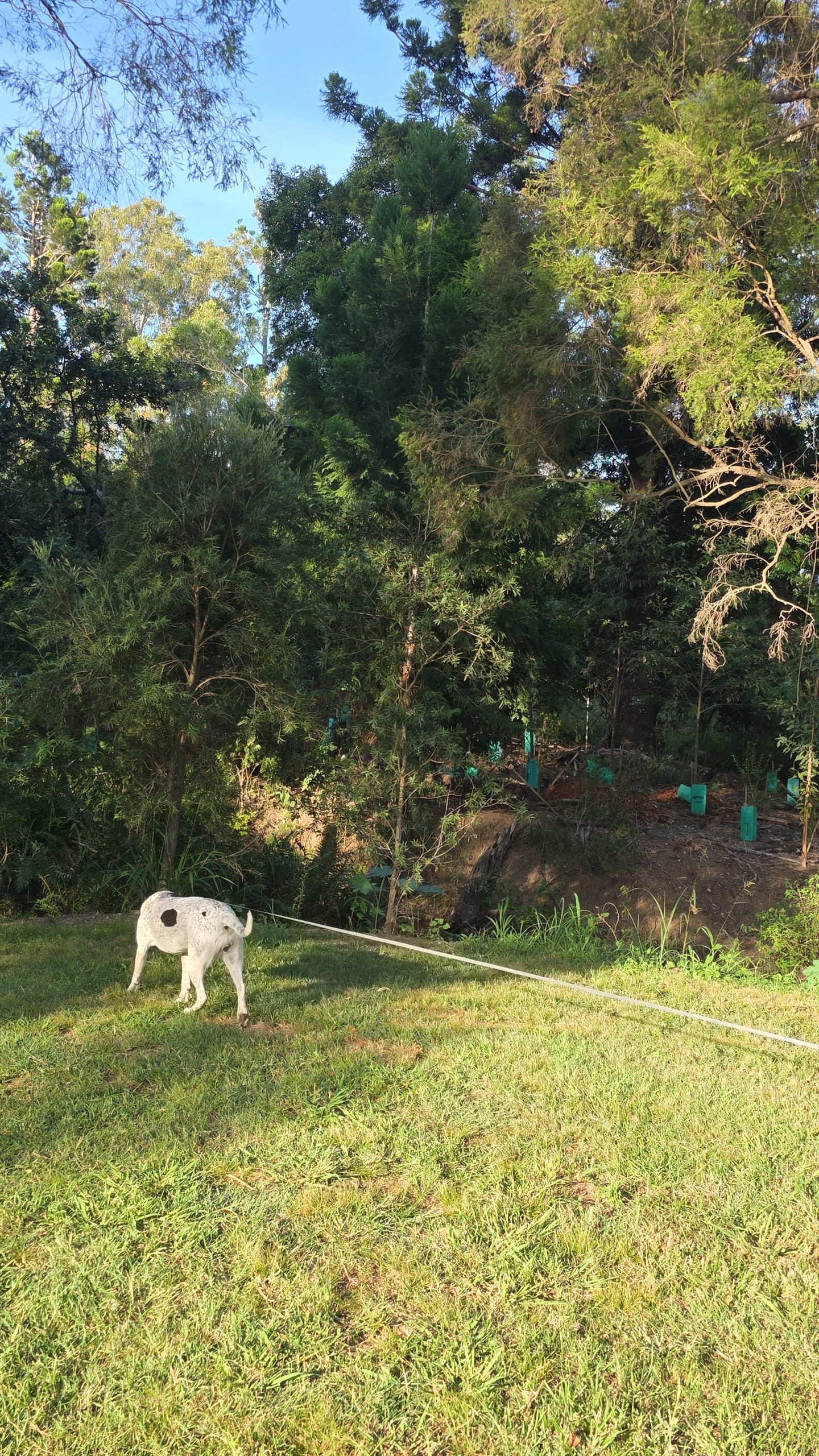 Eco Farm Nature Retreat