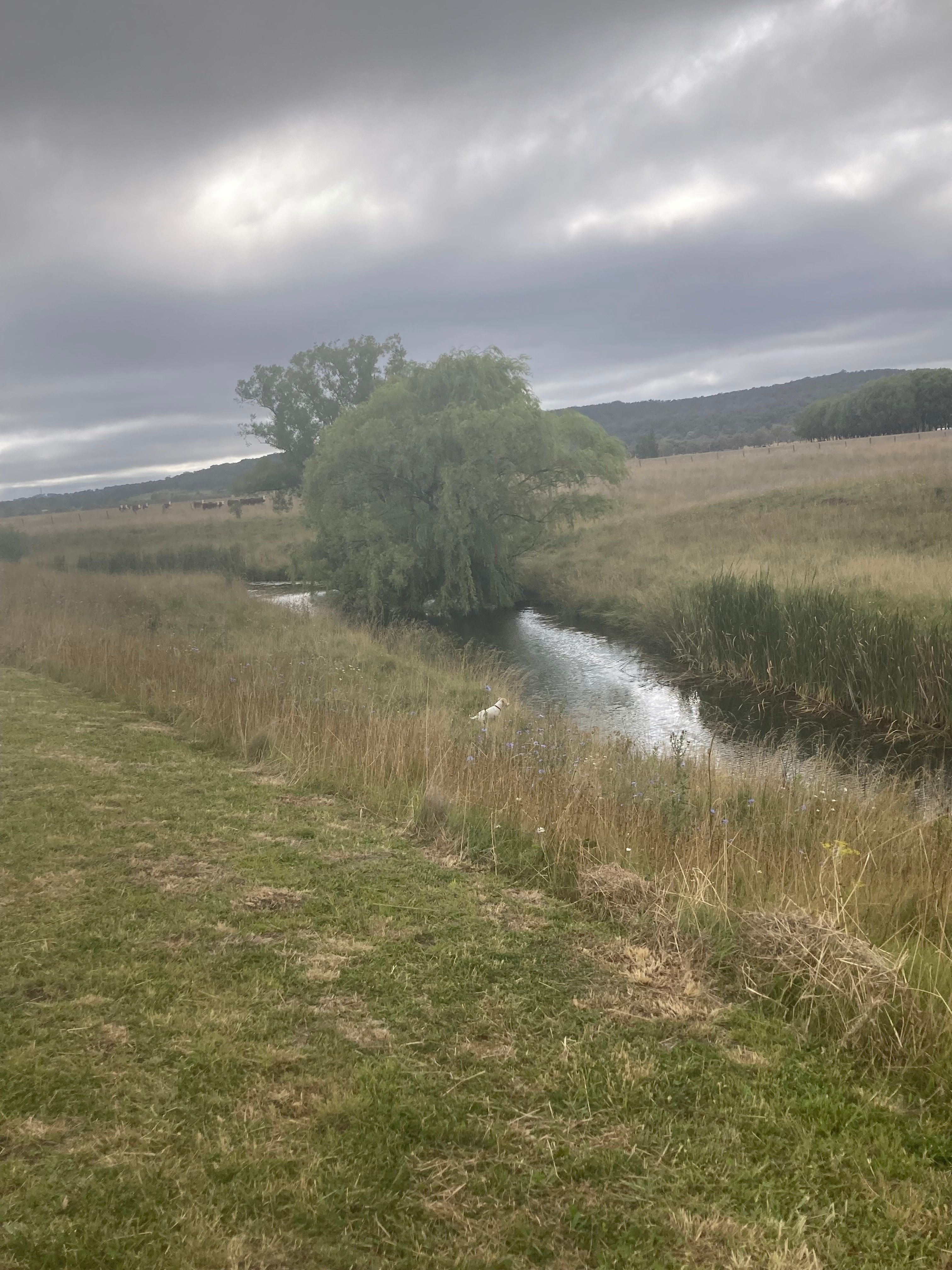 Glen Innes - "Furracabad Creek"