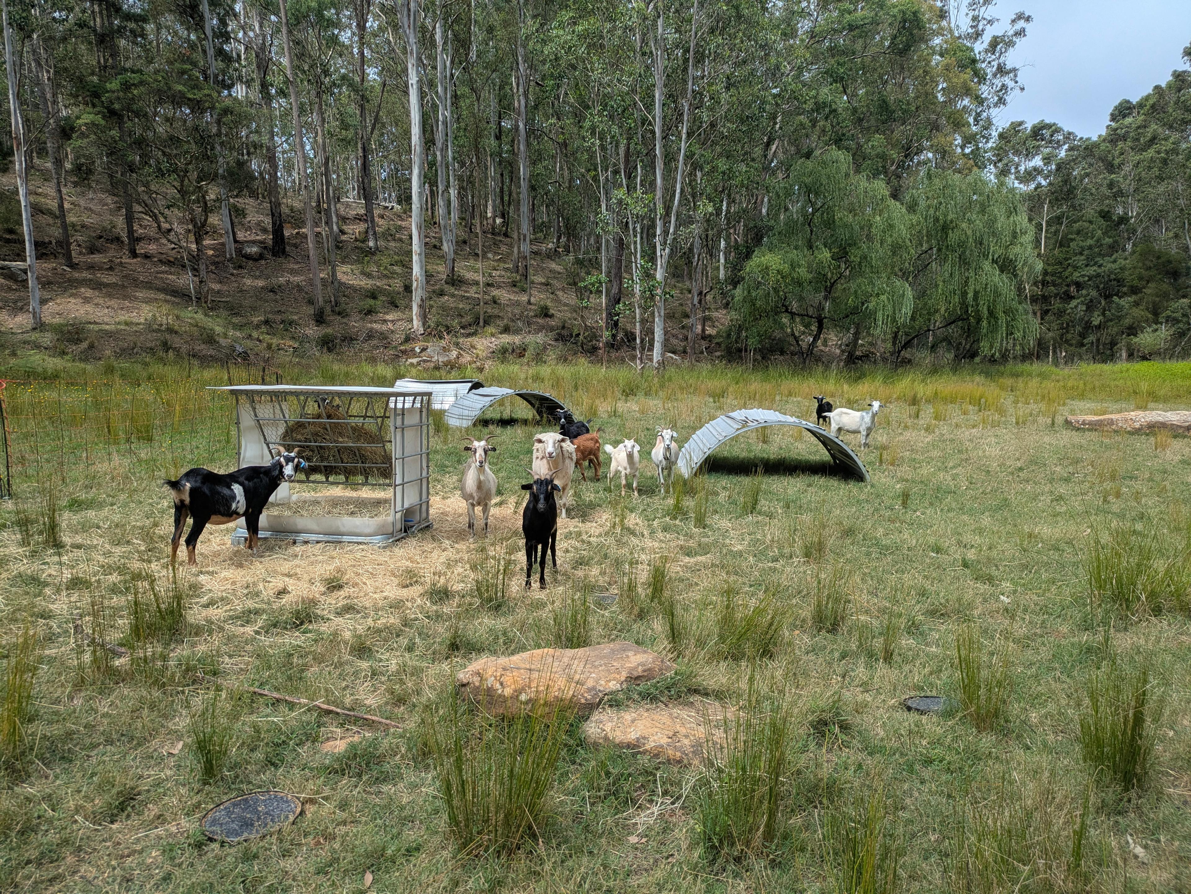 Wollombi Valley Bushland Farm