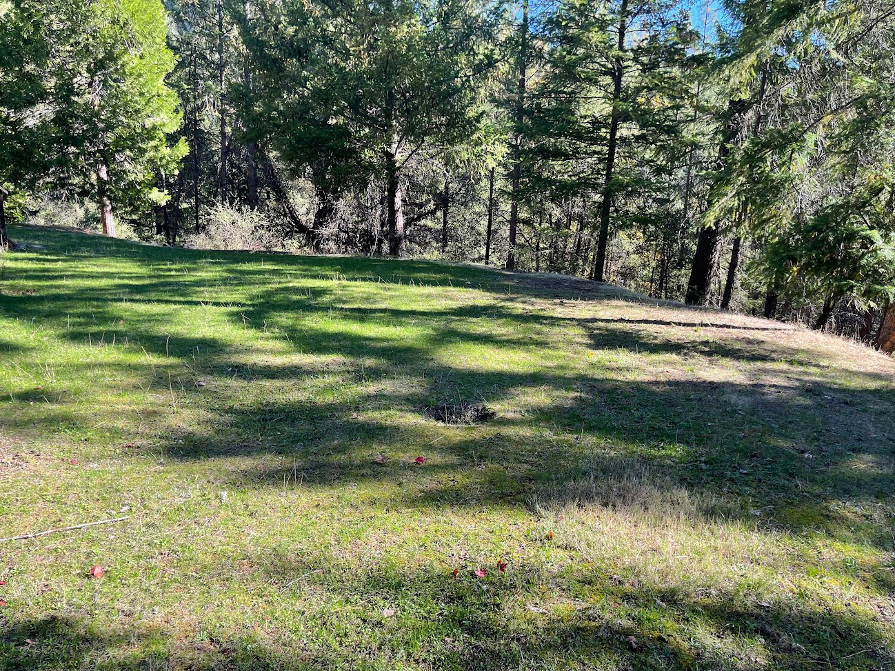 Stargaze Ridge Wilderness Camp