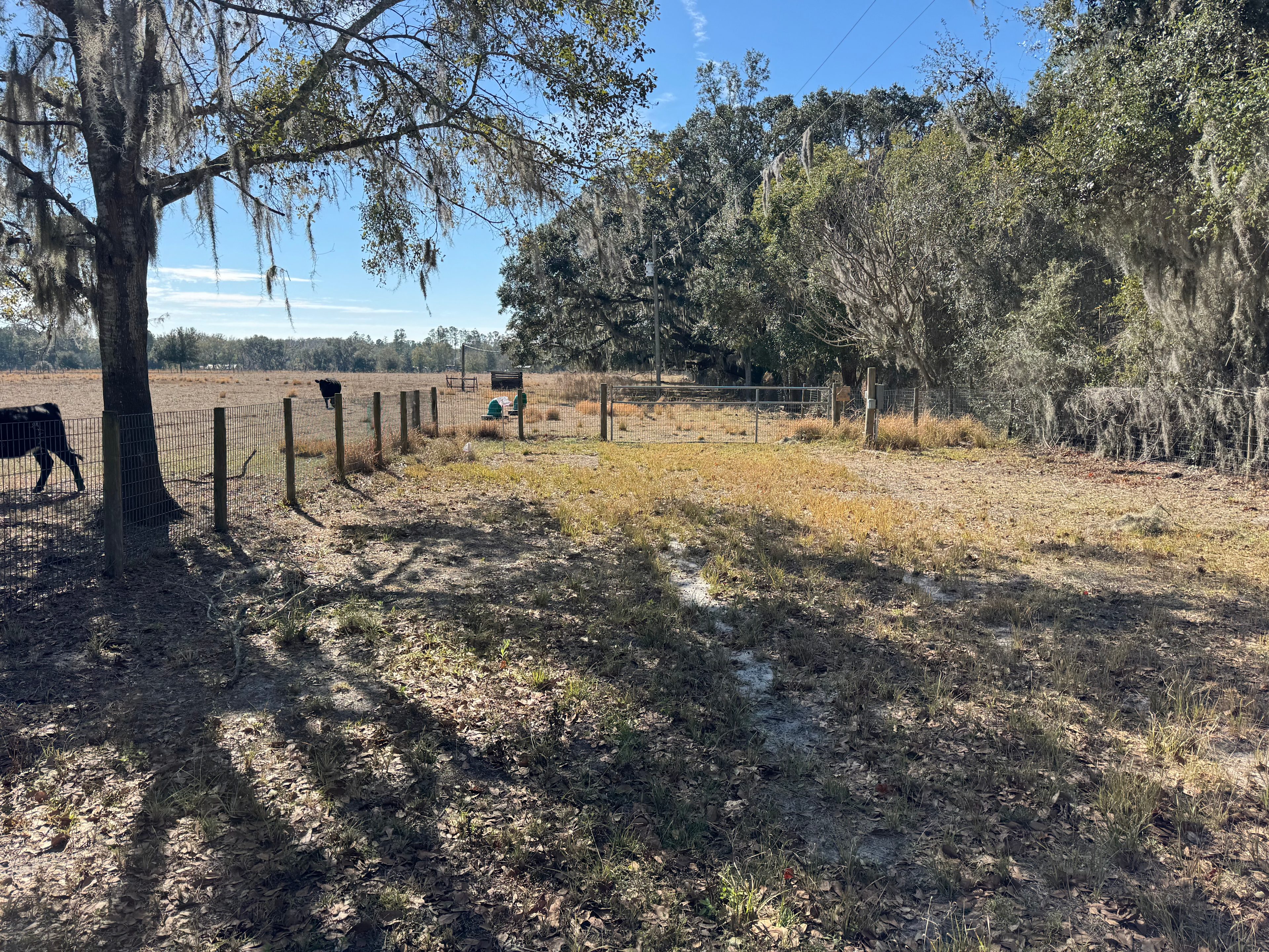 The Shepherd’s Meadow Farm
