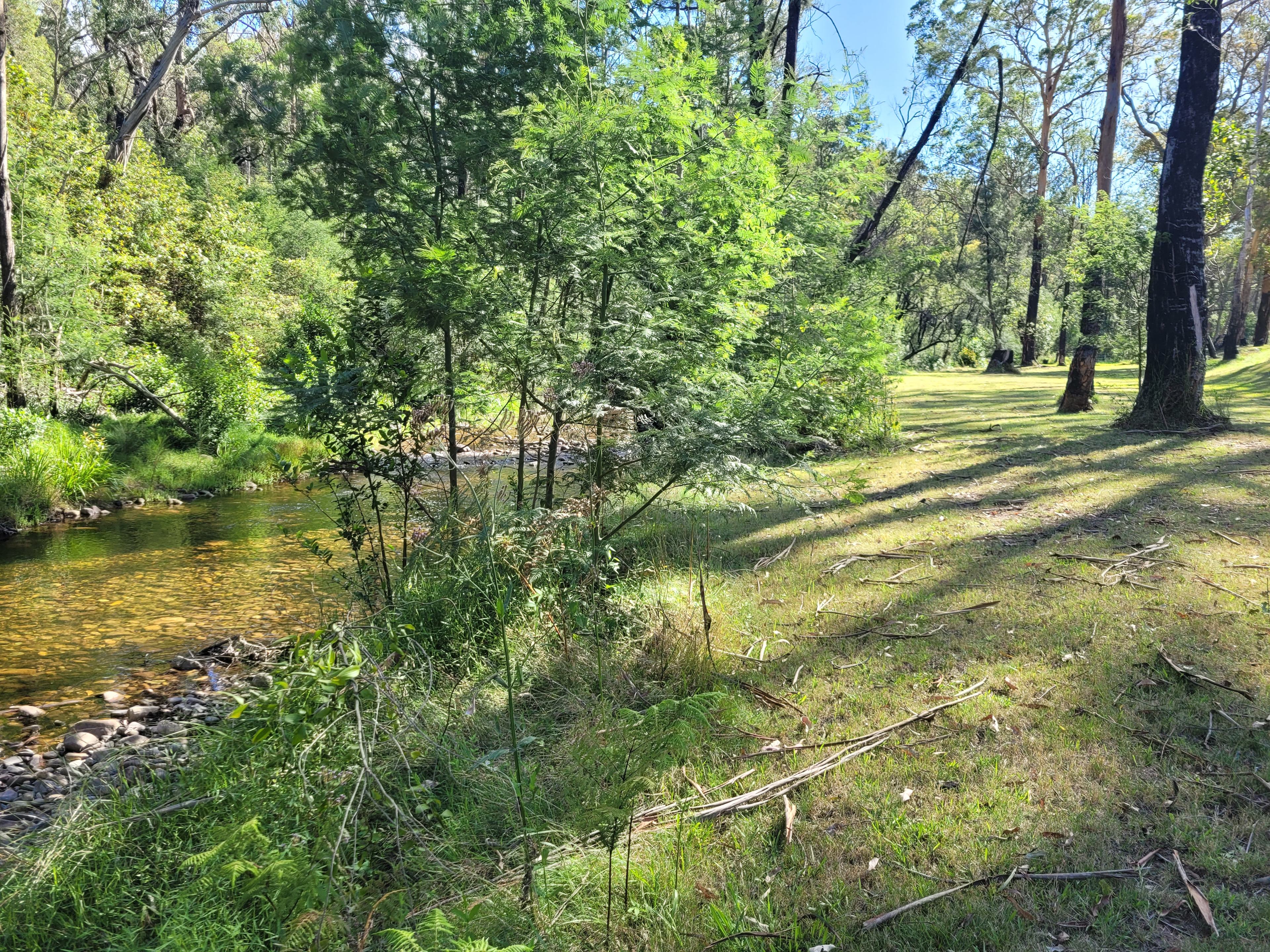 Riverdell Campgrounds
