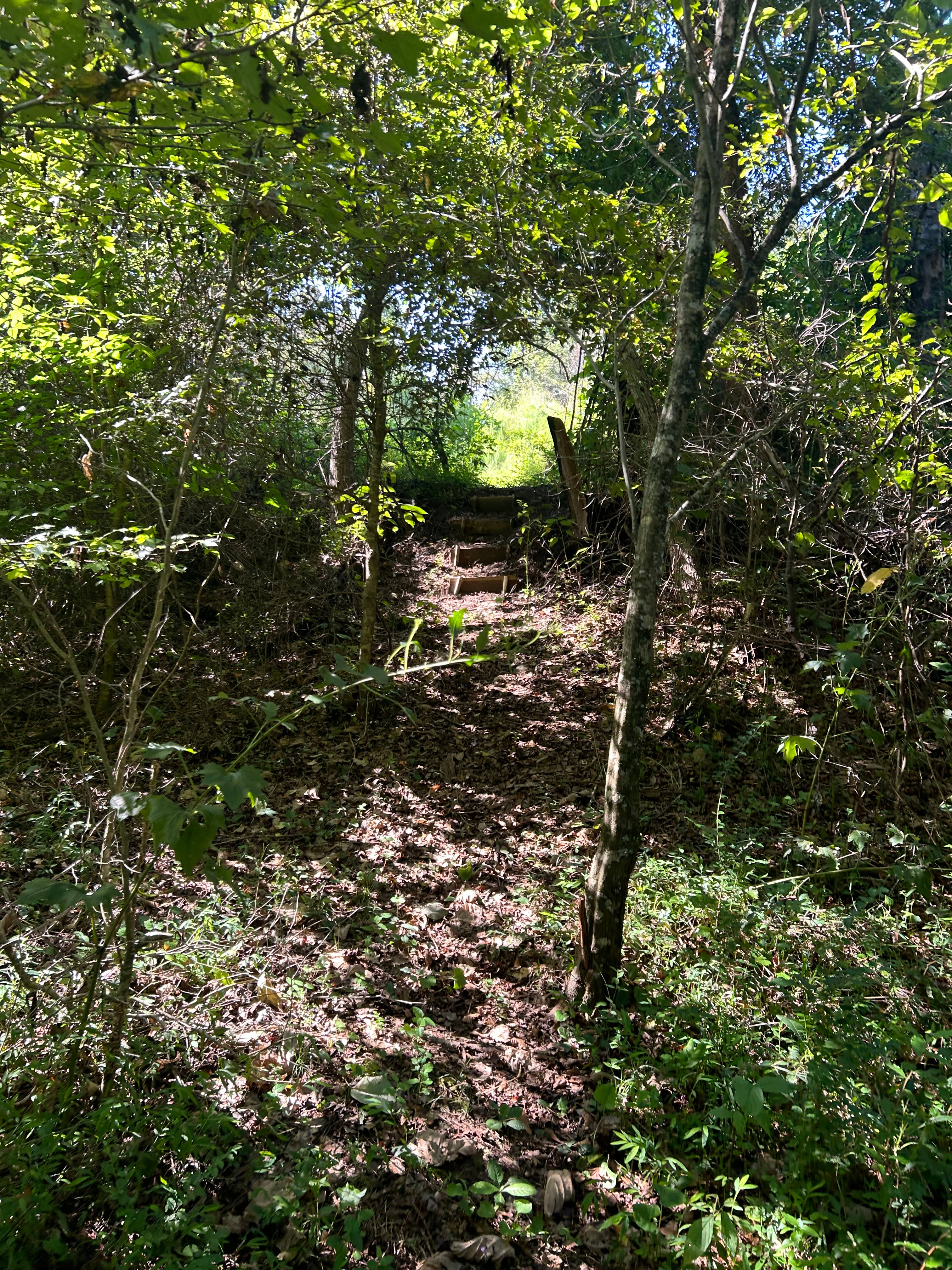 Triple J Farm and Campground