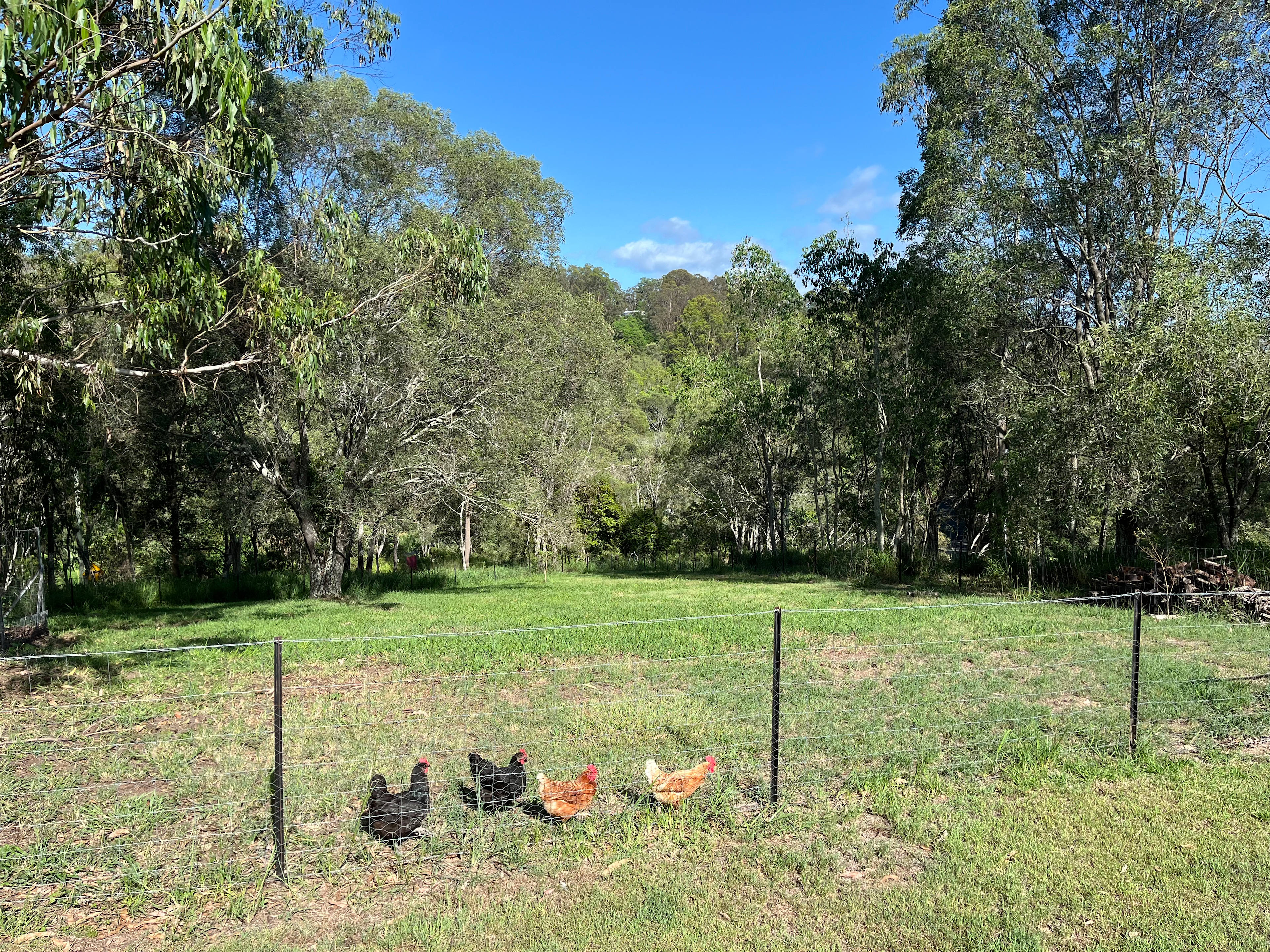 Peaceful Retreat for Brisbane Base