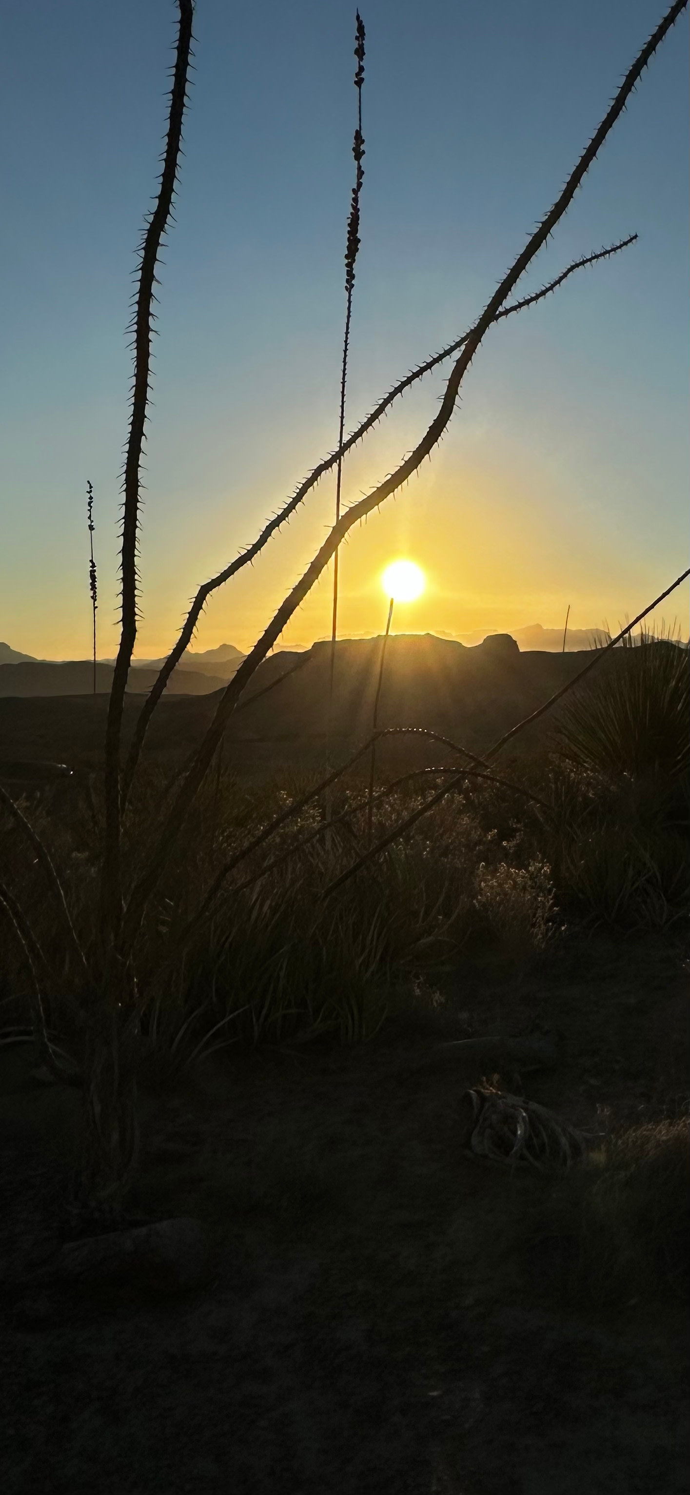 view of sun rise over Hermans Peak, Chisos beyond.