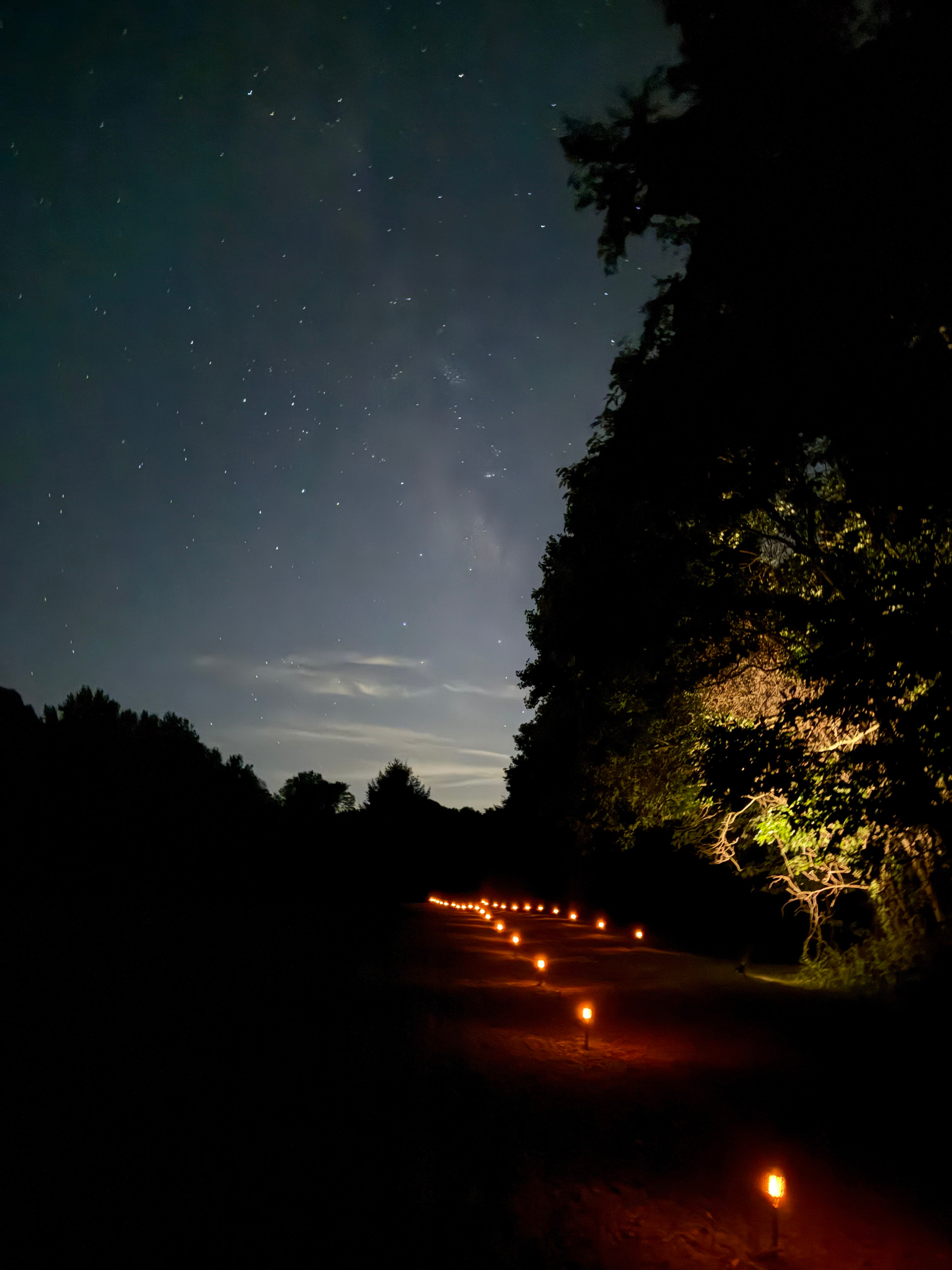 Wooded Luxury Glamping Tent