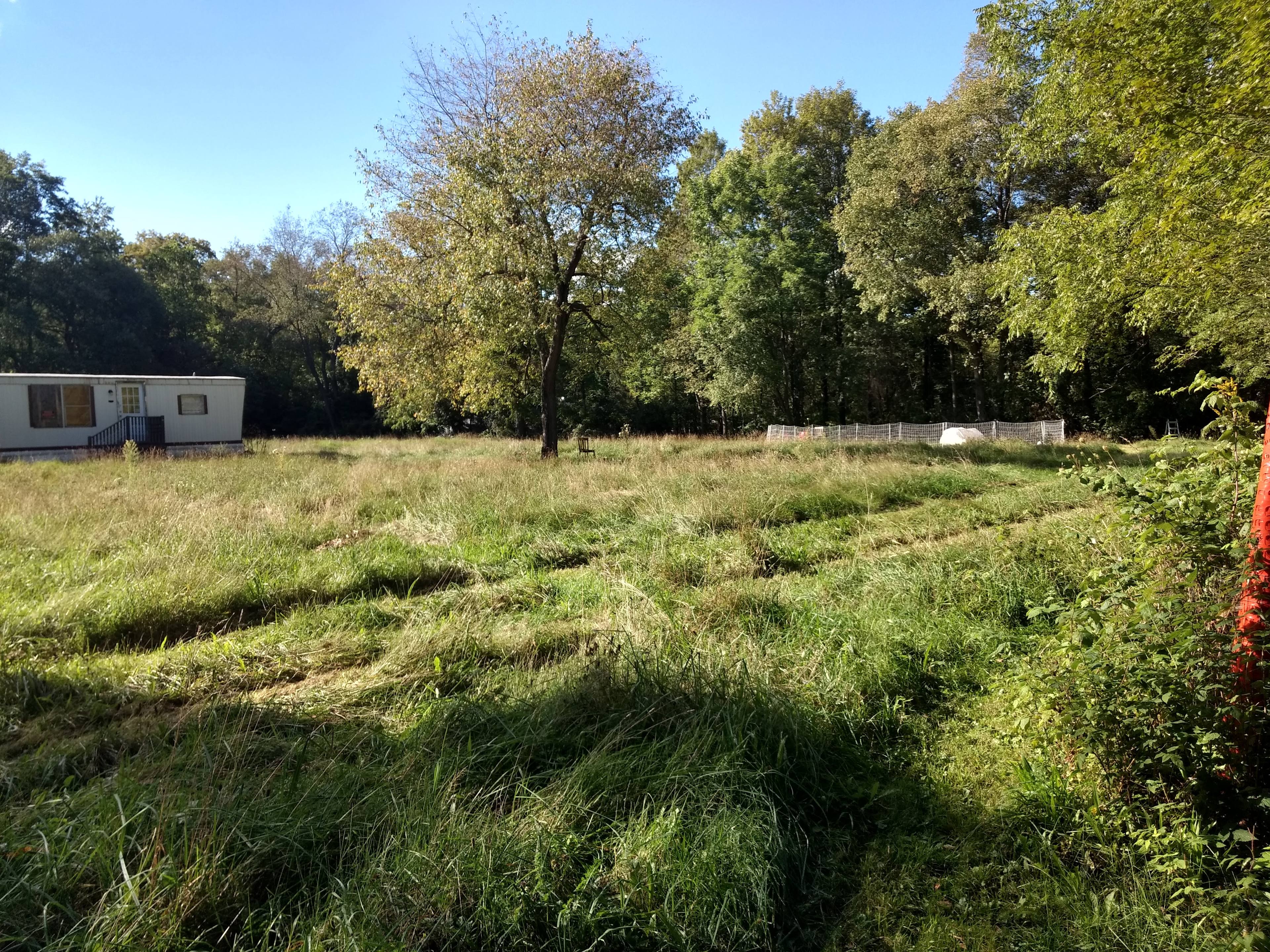 Luminosity Homestead