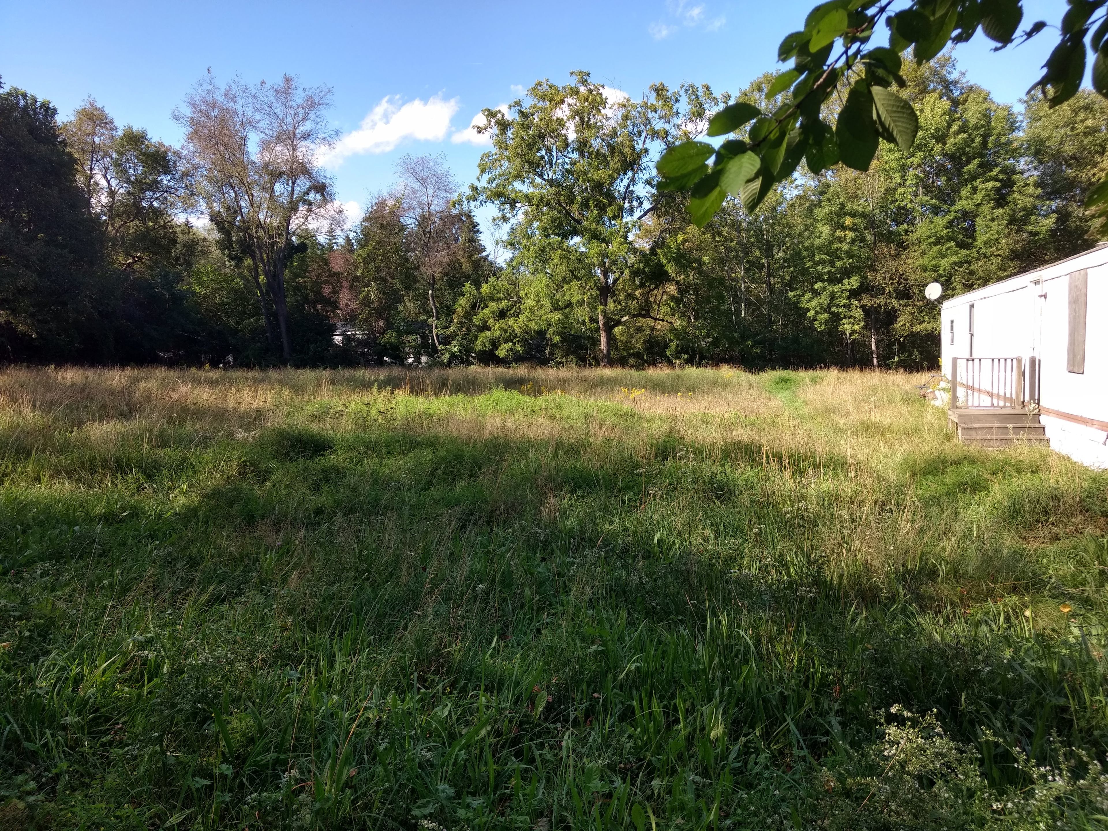 Luminosity Homestead