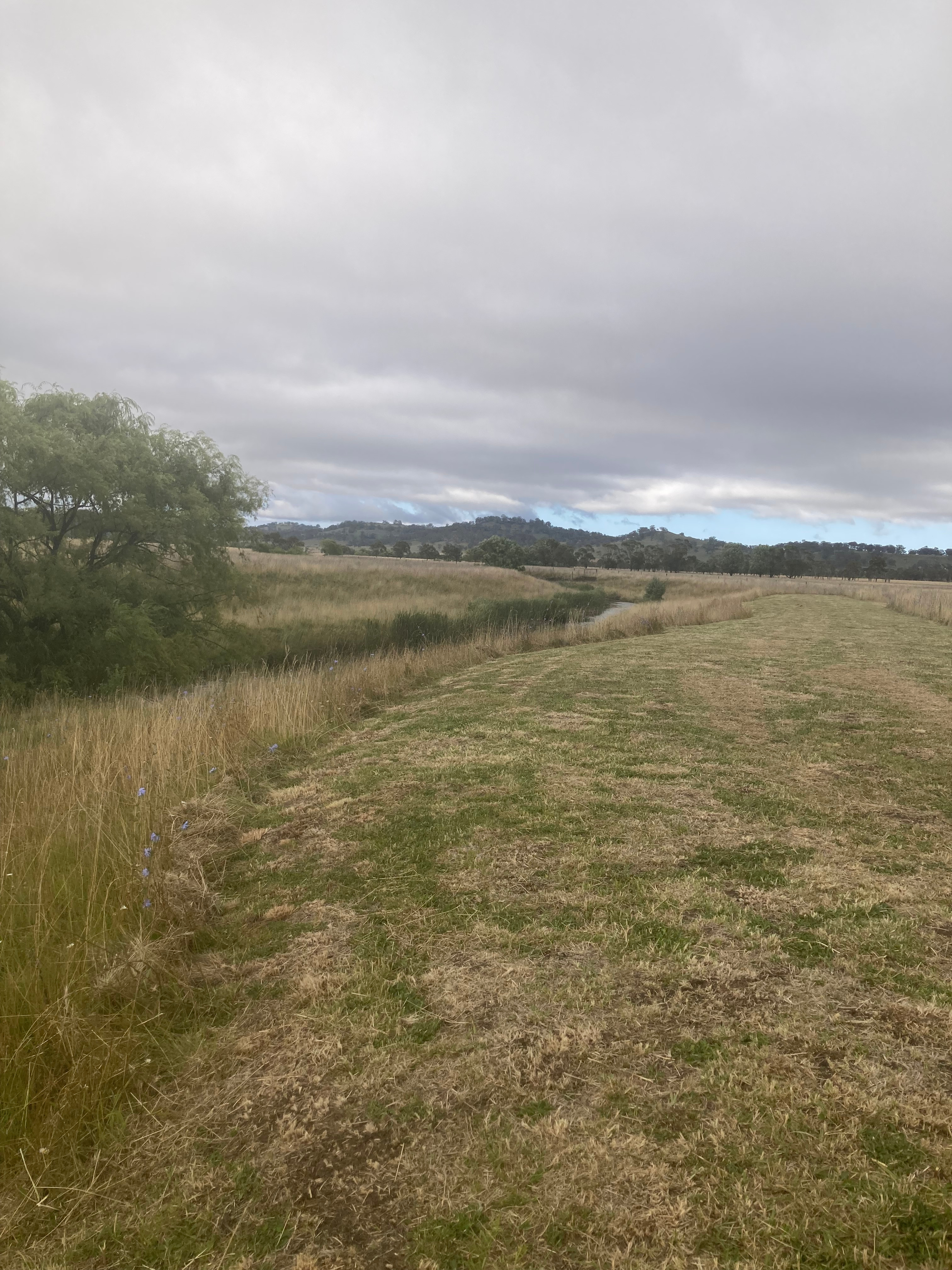 Glen Innes - "Furracabad Creek"