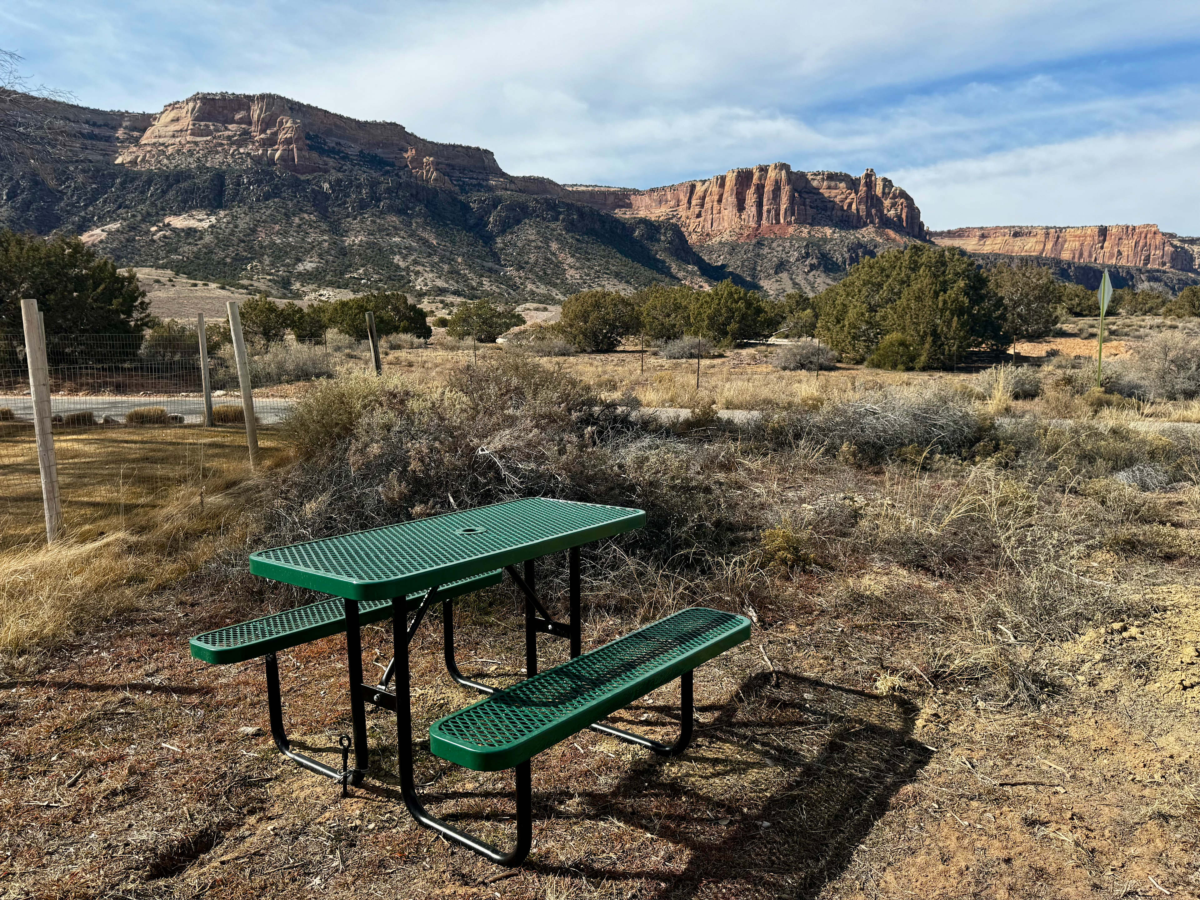 The Little Rabbitbrush