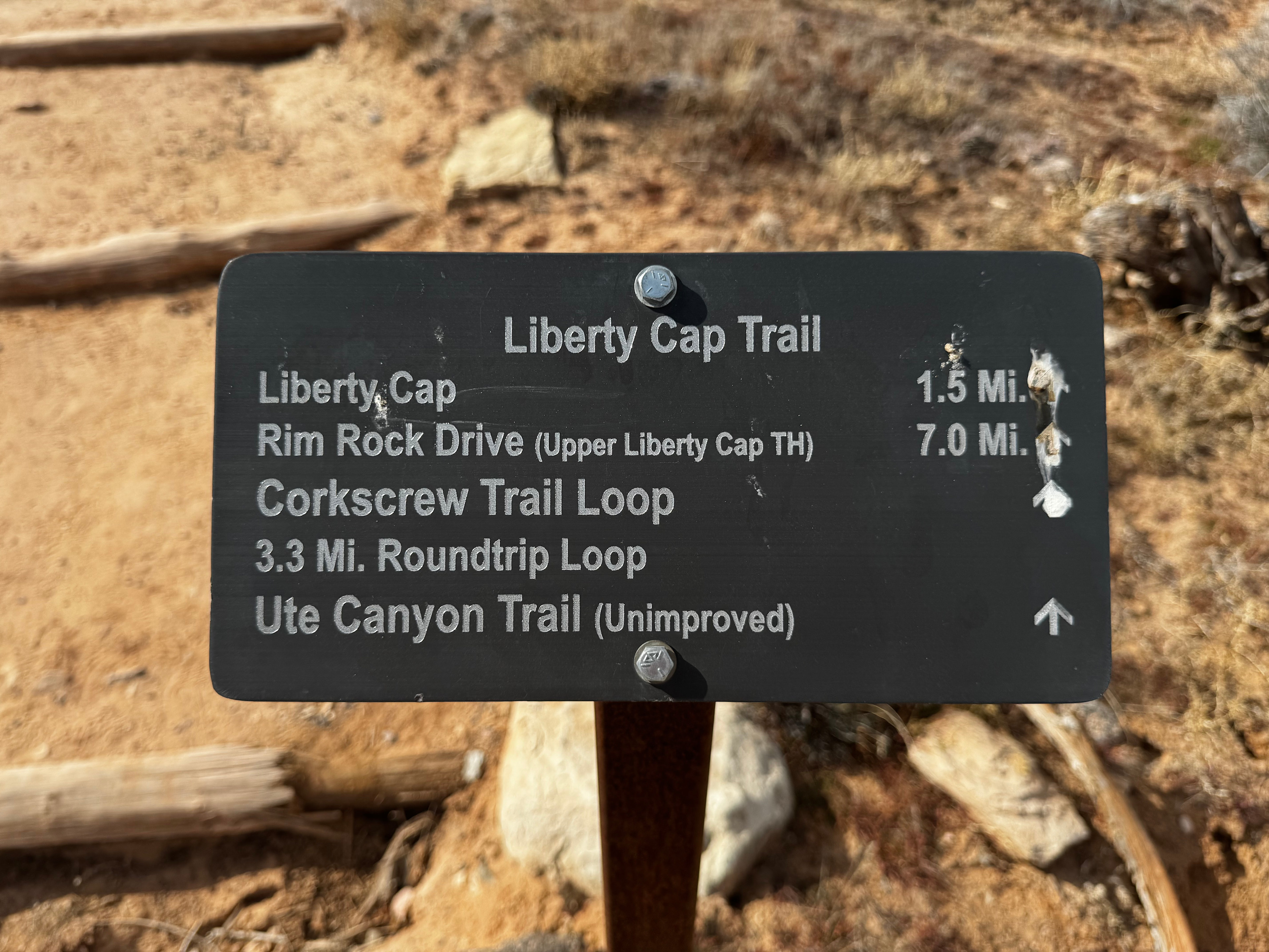 The Little Rabbitbrush