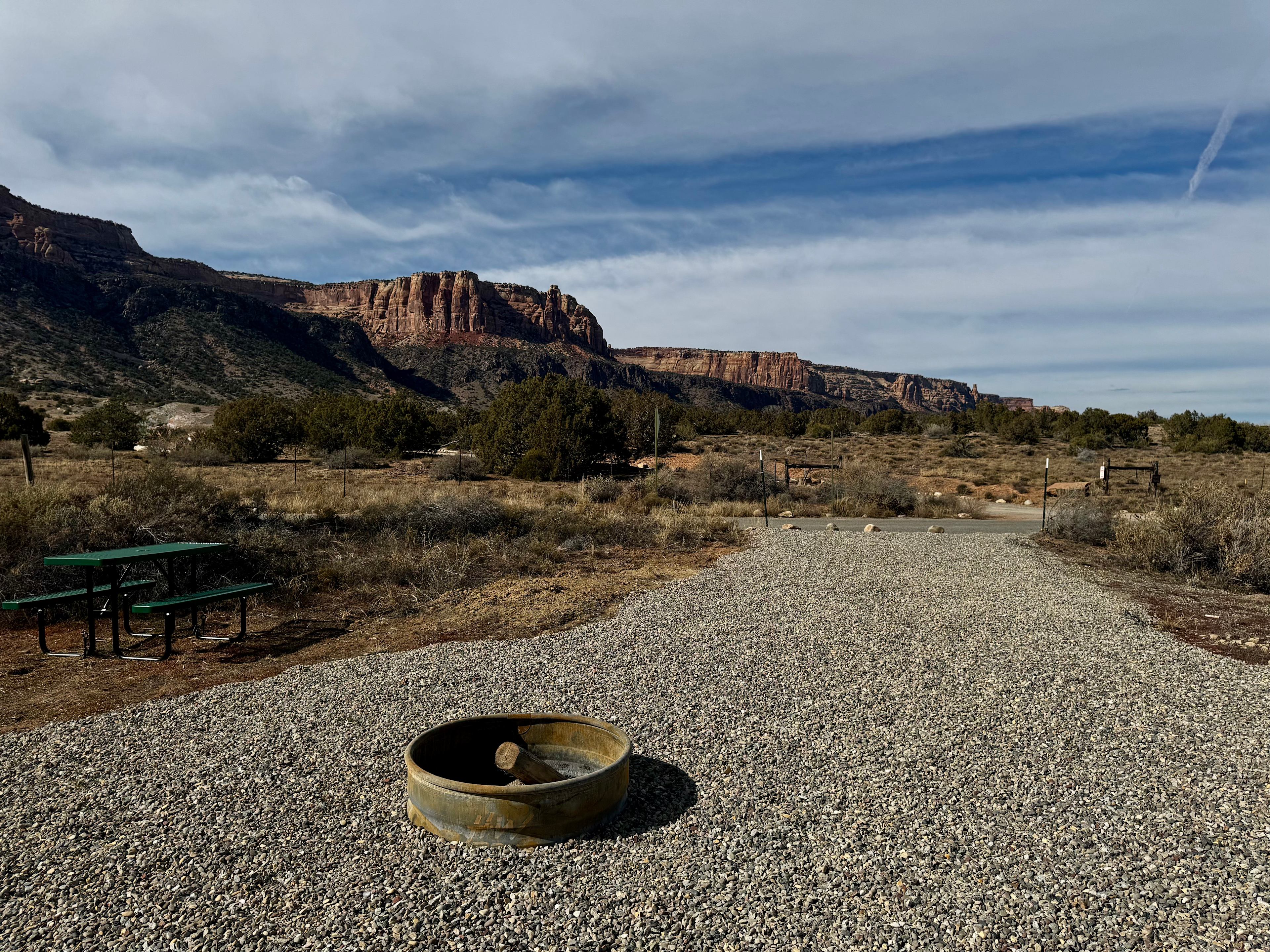 The Little Rabbitbrush