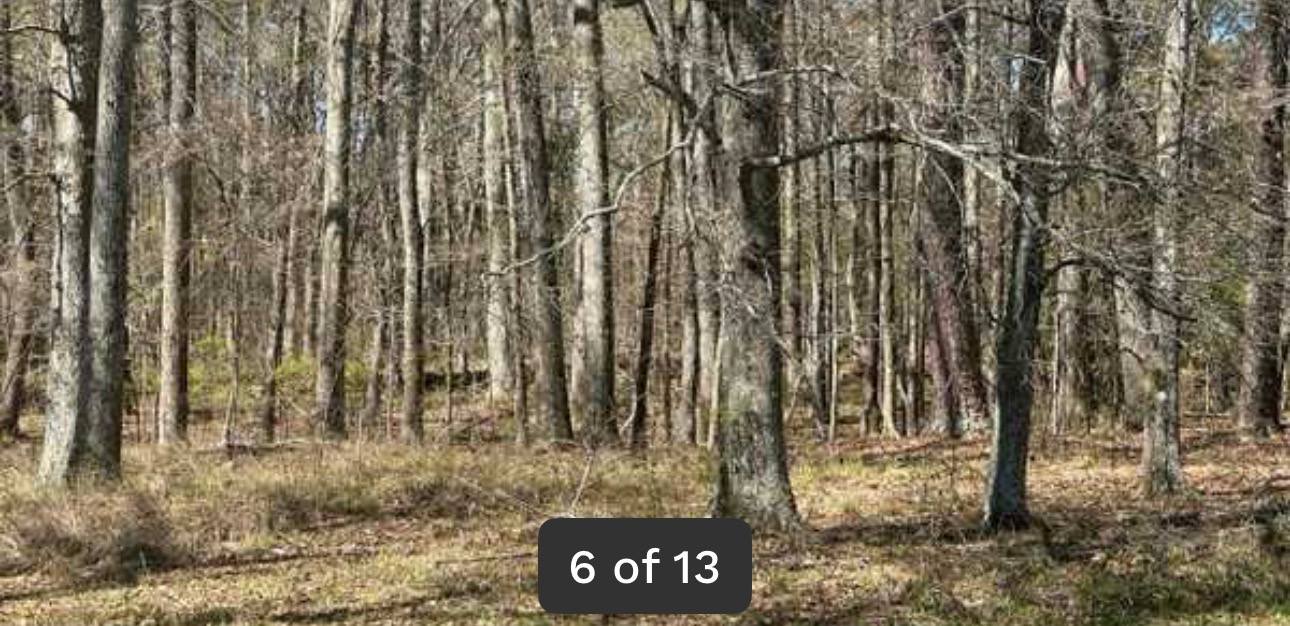 Fenced acreage near Interstate