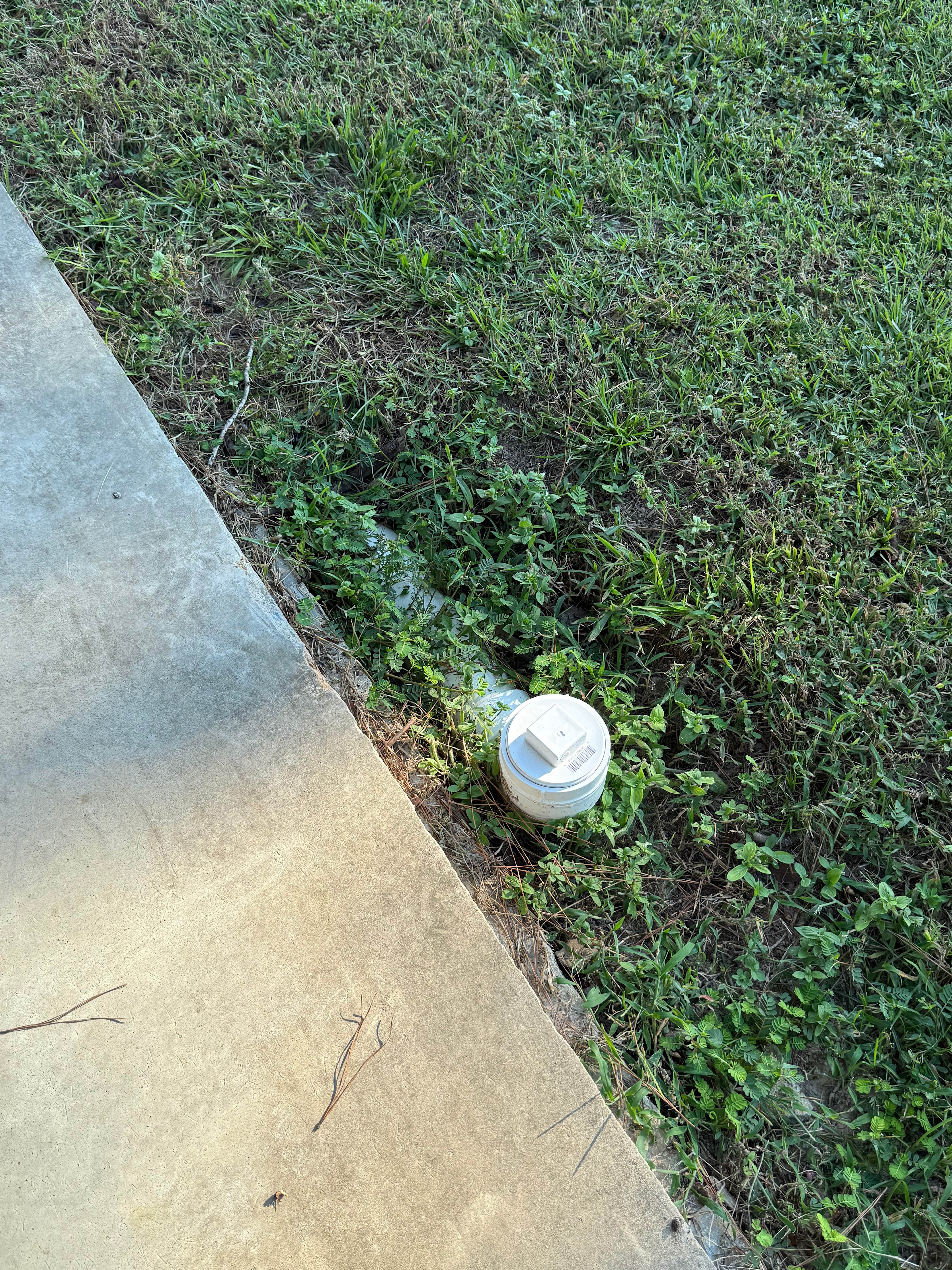 Riverview RV site by Altamaha River