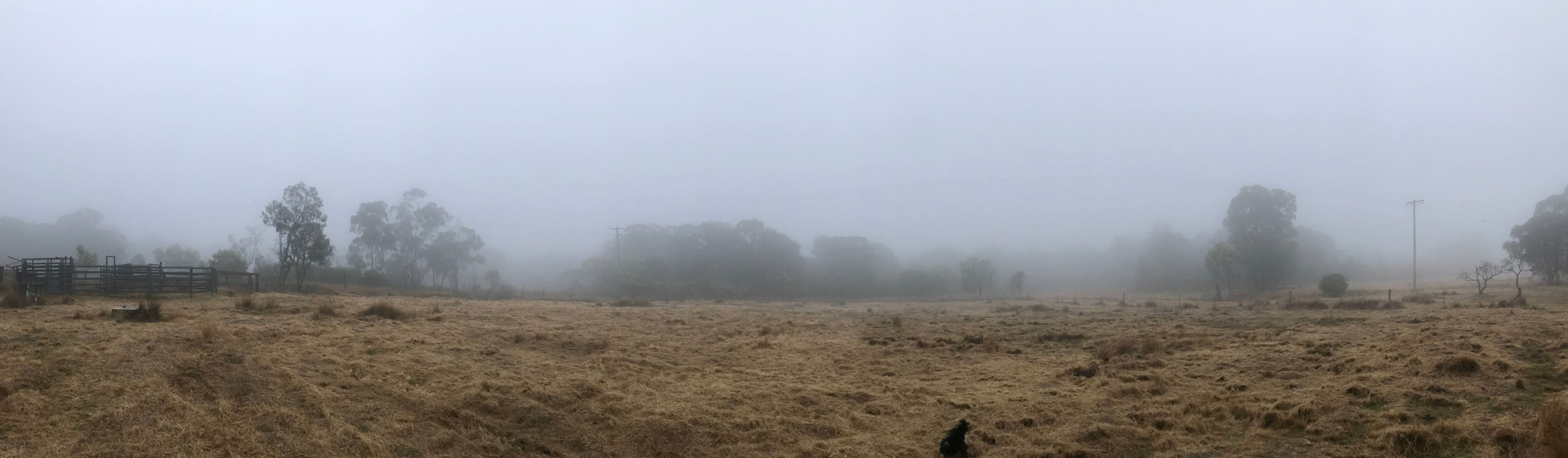 Best Block Friendly Fruit Art Farm