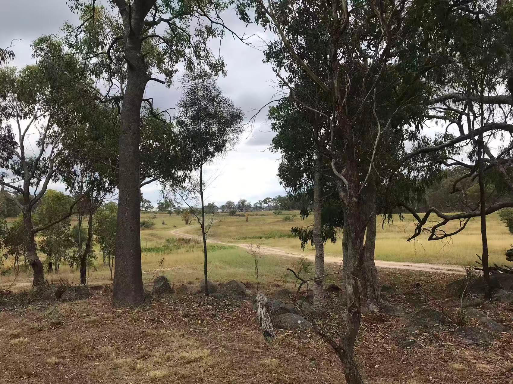 Looking north from campgrounds up the driveway to the front gate. 