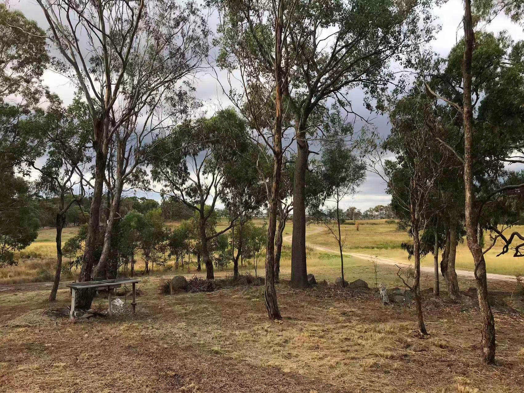 Stainless steel sink with running dam water mains tap. 