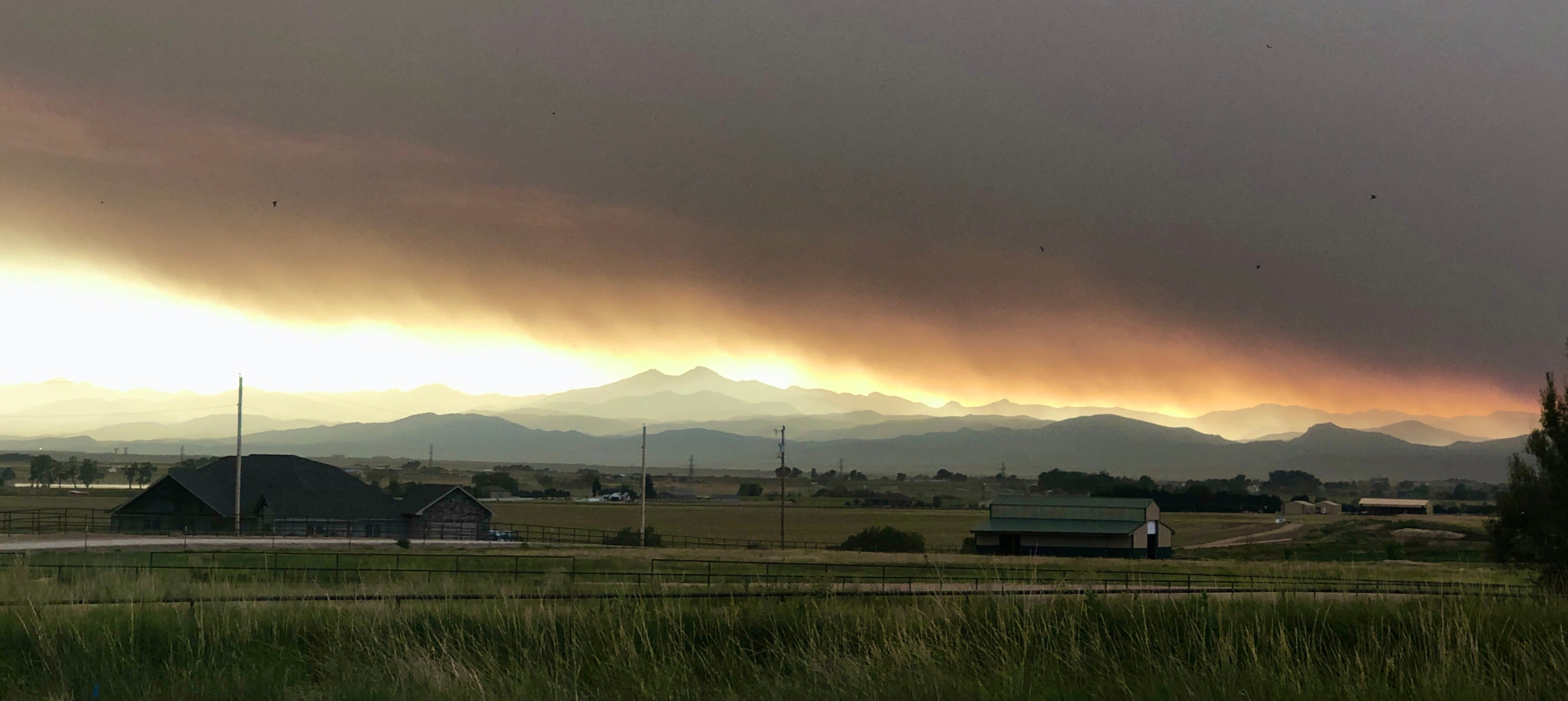 Harmon Farms—The Good Life