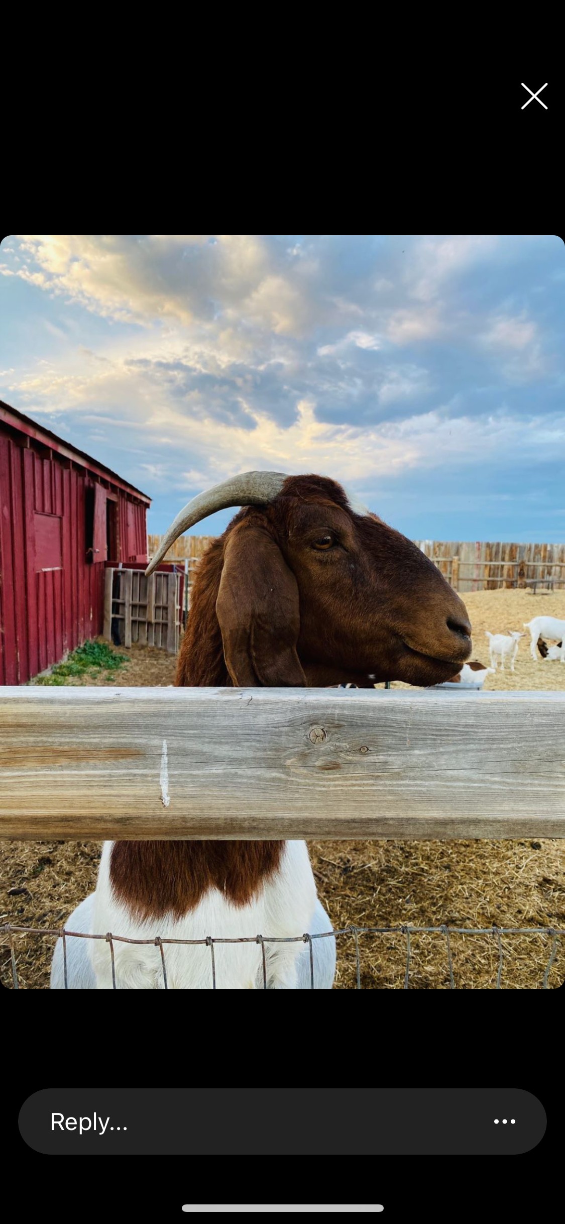 Harmon Farms—The Good Life
