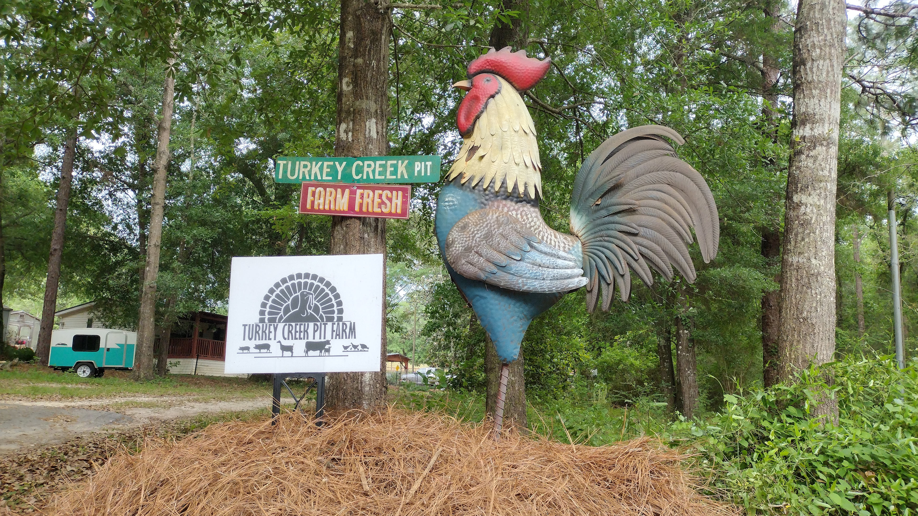 Turkey Creek Pit Farm