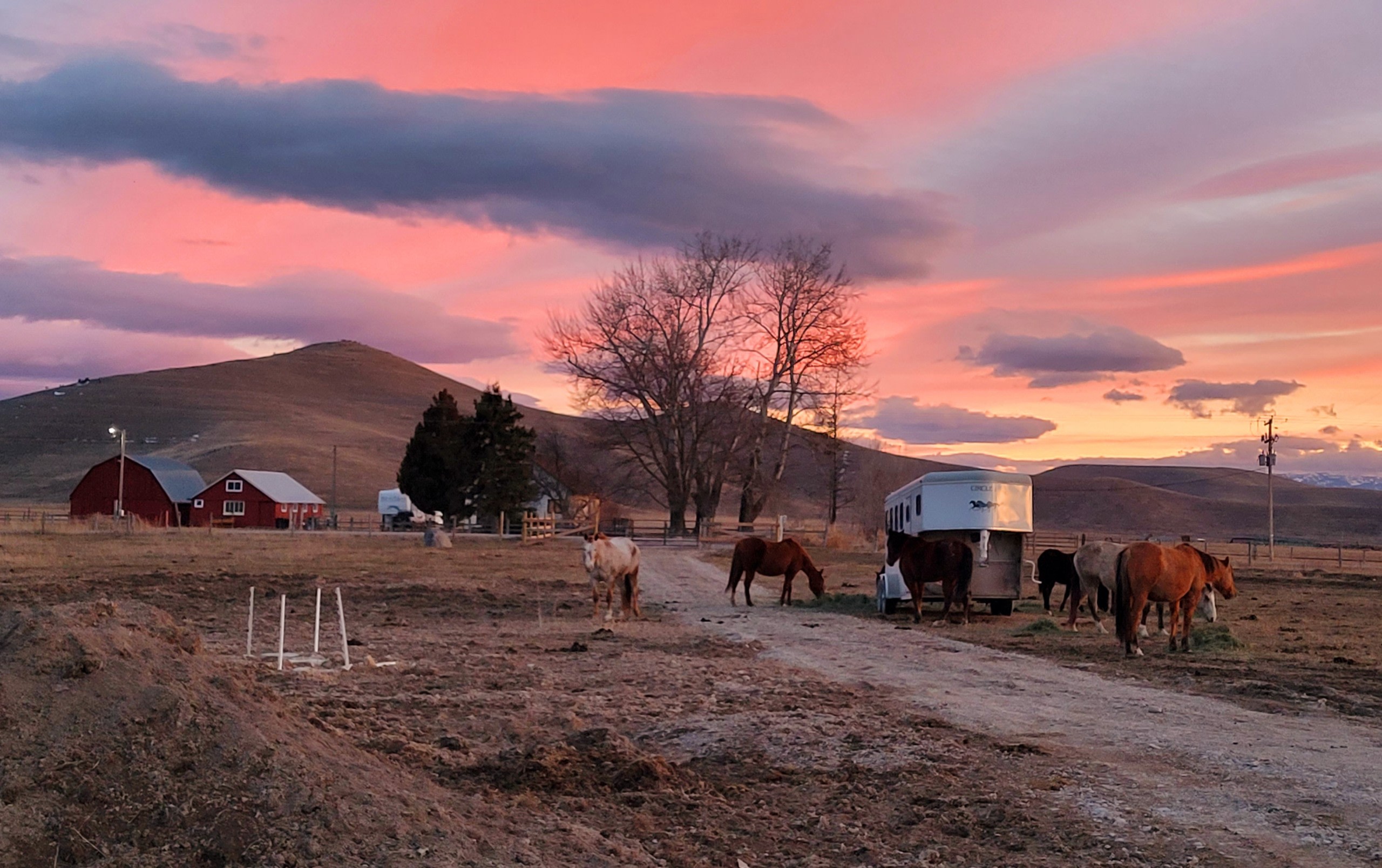 The Flying Moose QH Ranch