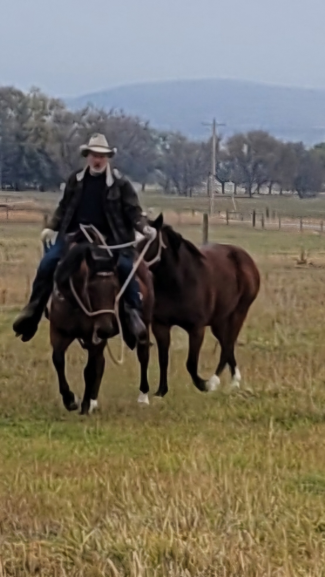 The Flying Moose QH Ranch