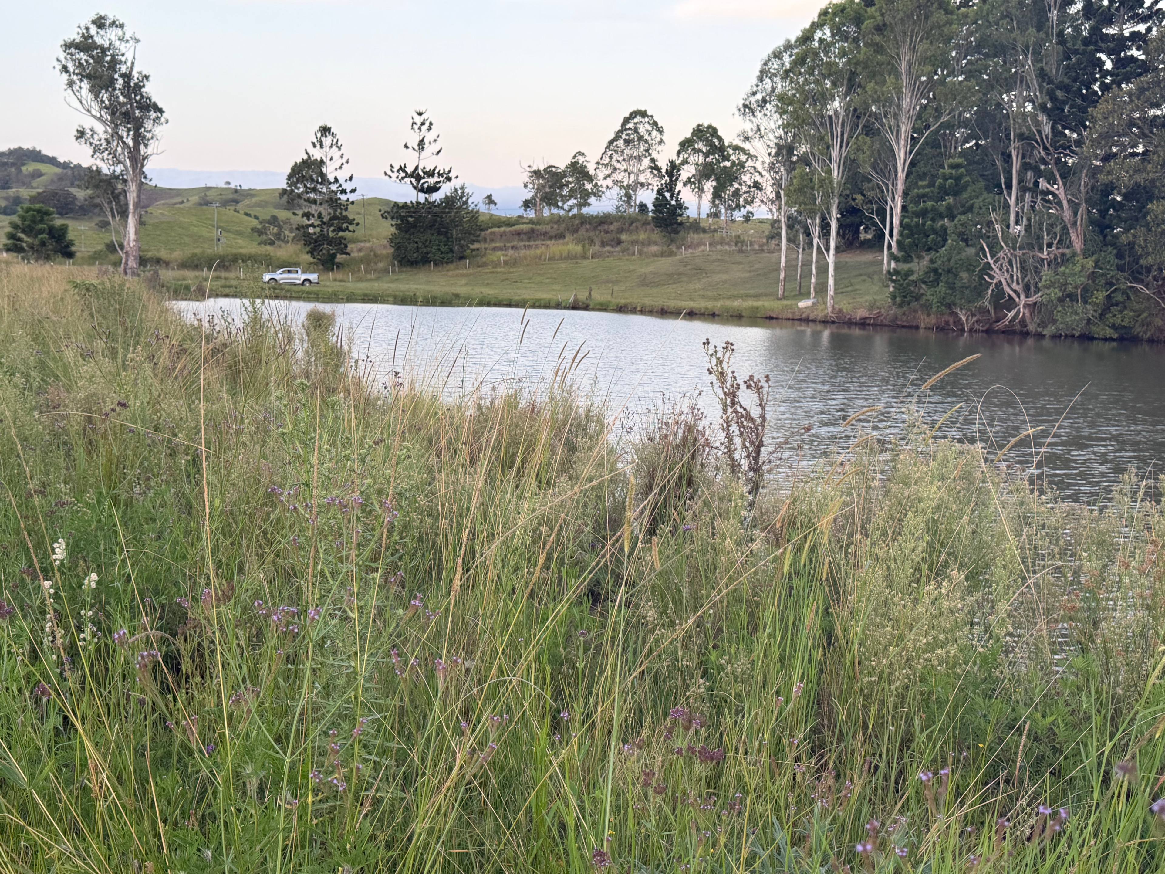 Greenwood lagoon bird watchers