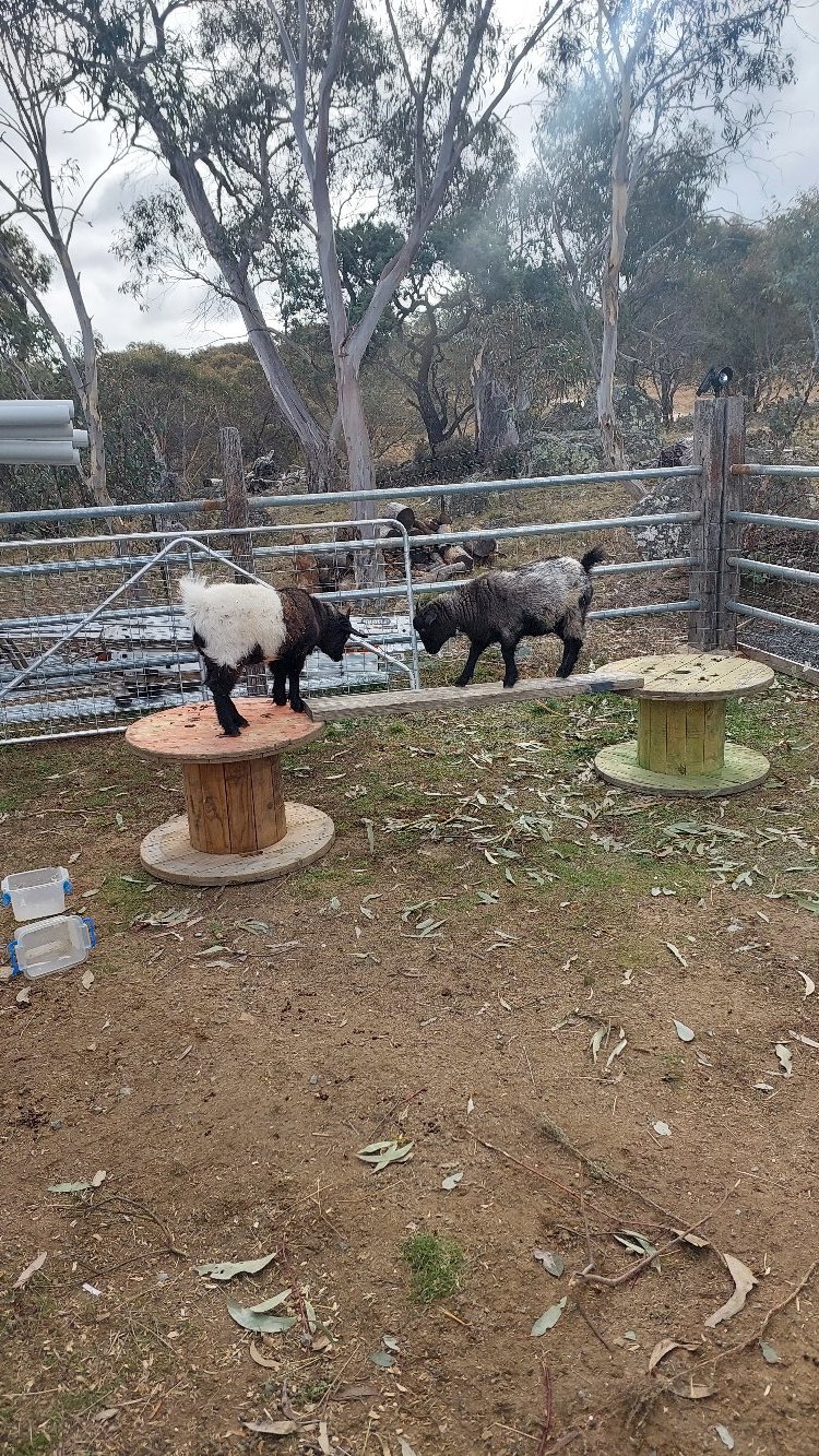 Ironpot Hill Farmstay